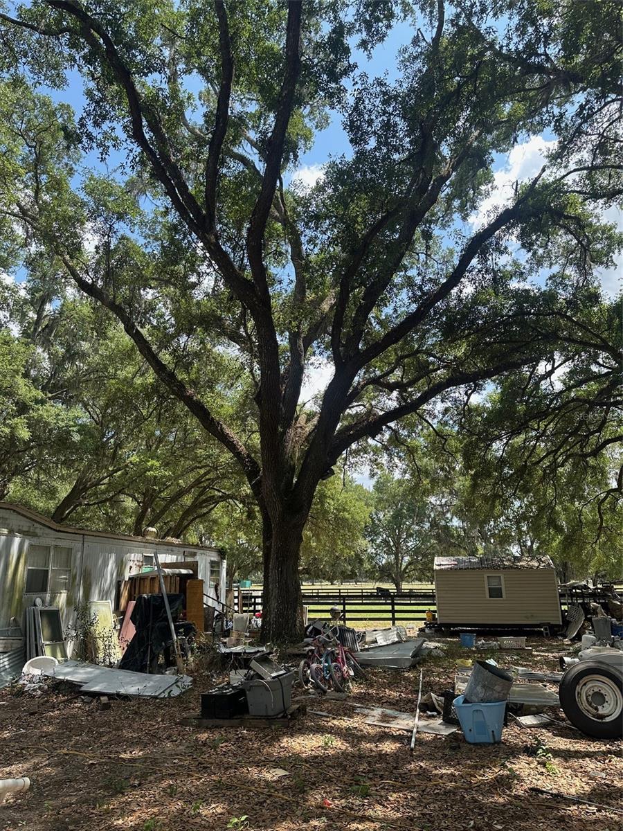 Image 8 of 11 For 9068 12th Drive