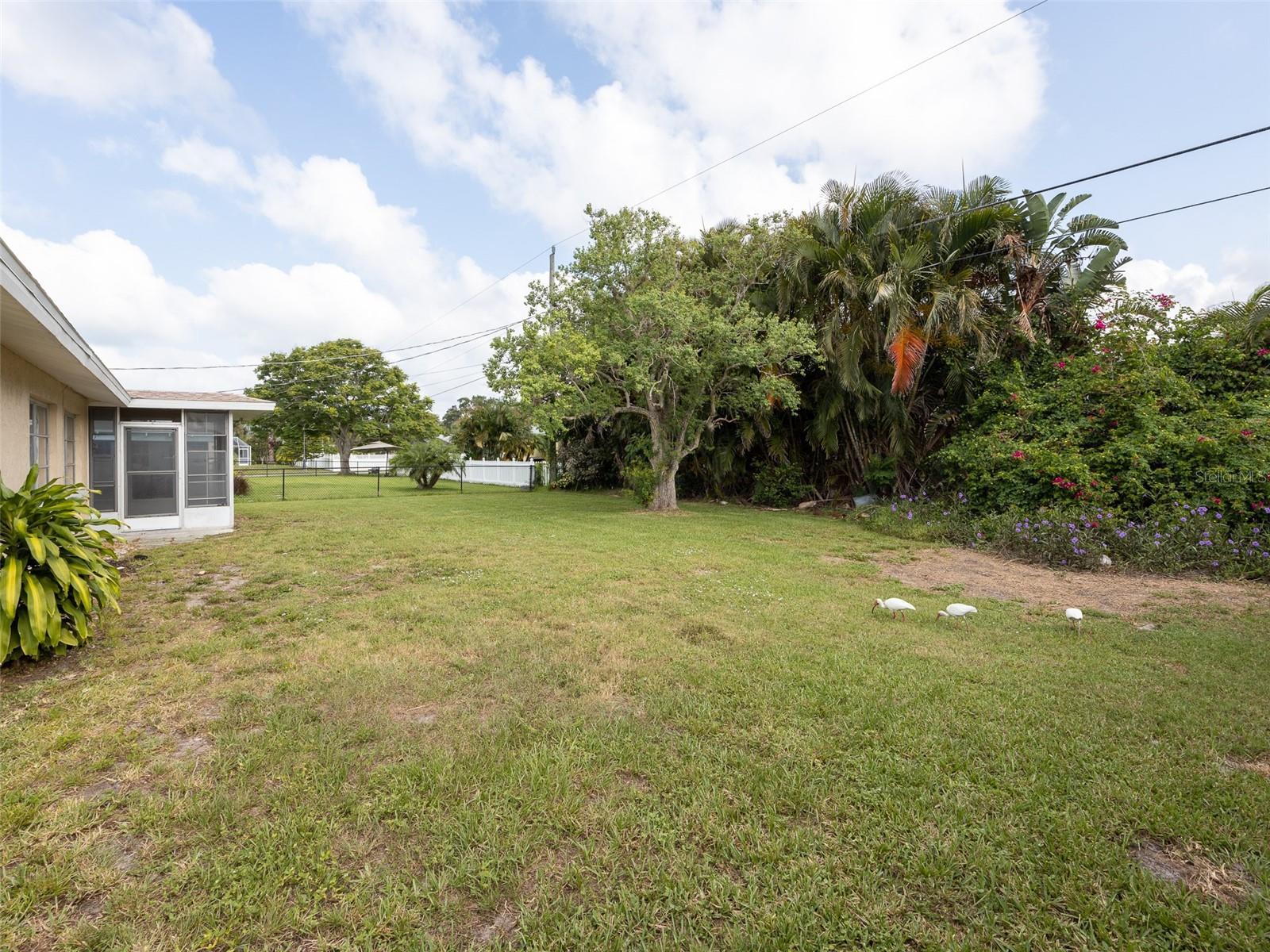 Image 20 of 23 For 916 Gillespie Street