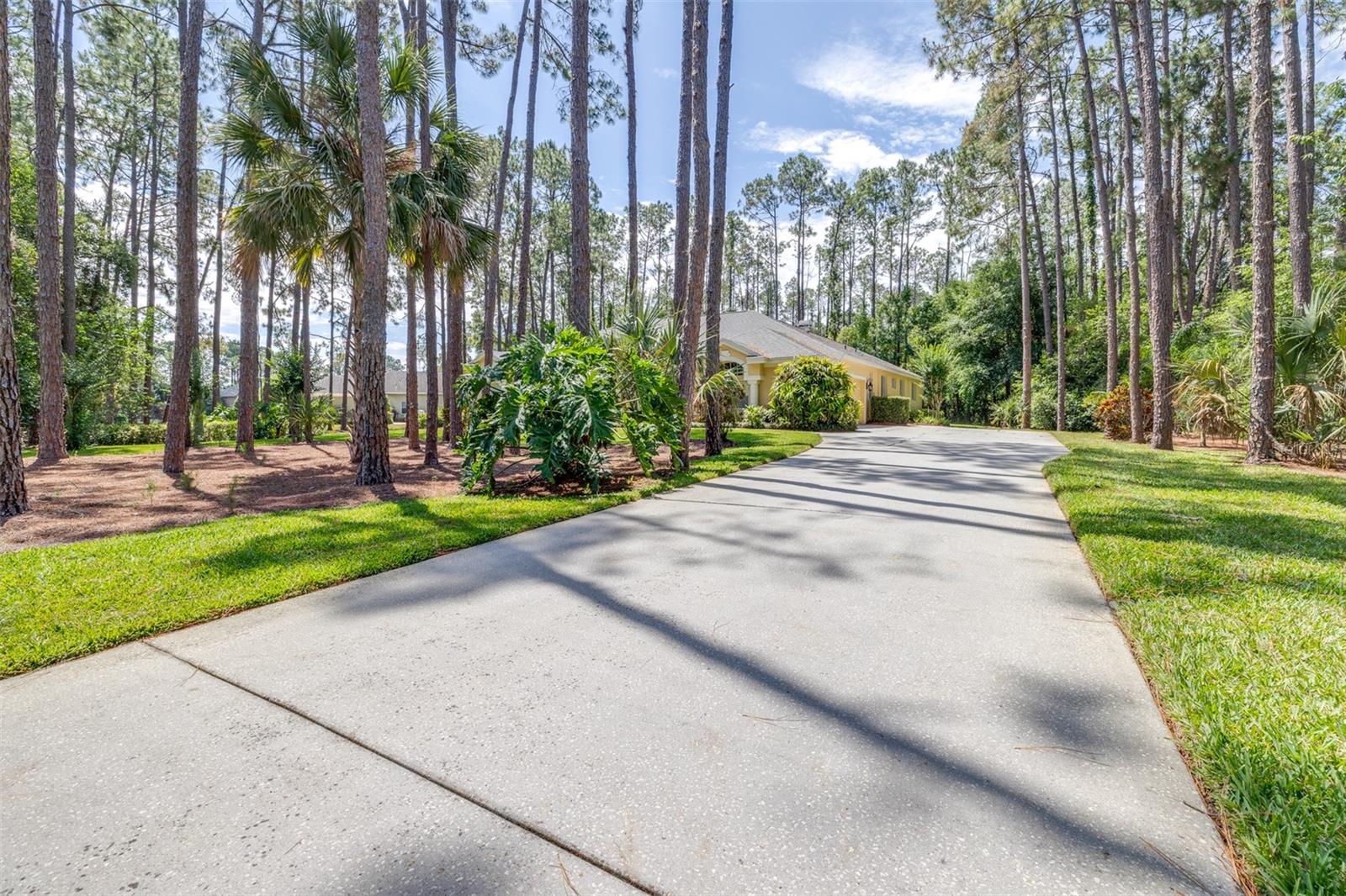 Image 6 of 76 For 313 Pine Bluff Drive