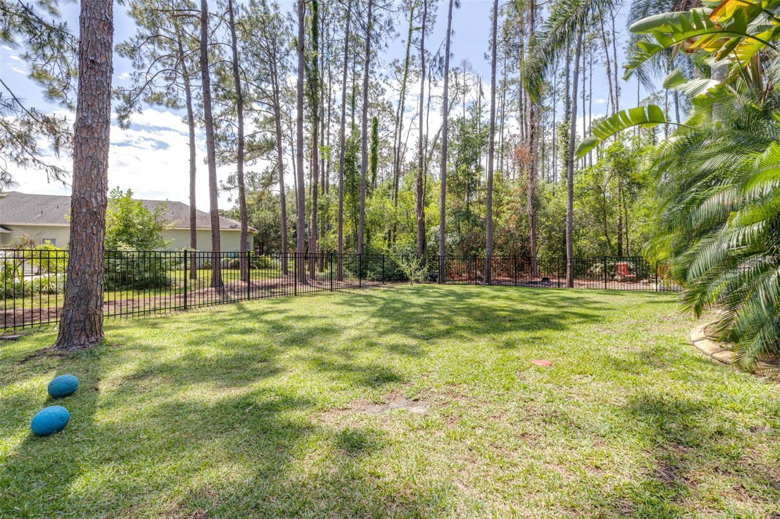 Image 61 of 76 For 313 Pine Bluff Drive