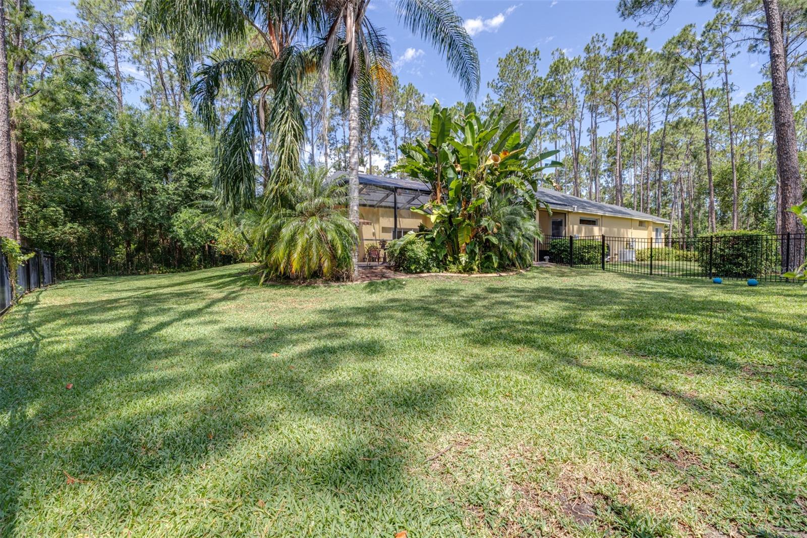 Image 64 of 76 For 313 Pine Bluff Drive