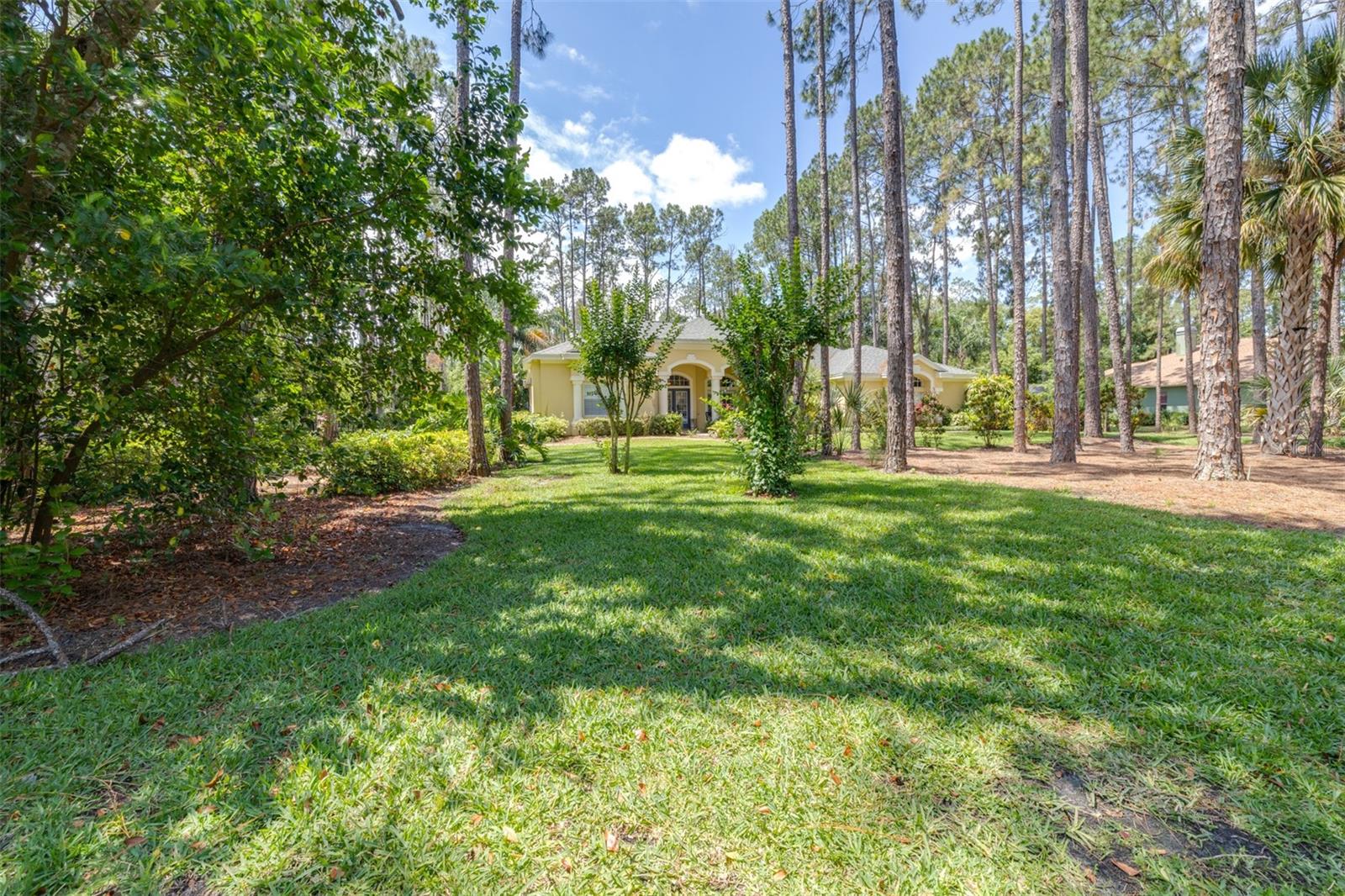Image 7 of 76 For 313 Pine Bluff Drive