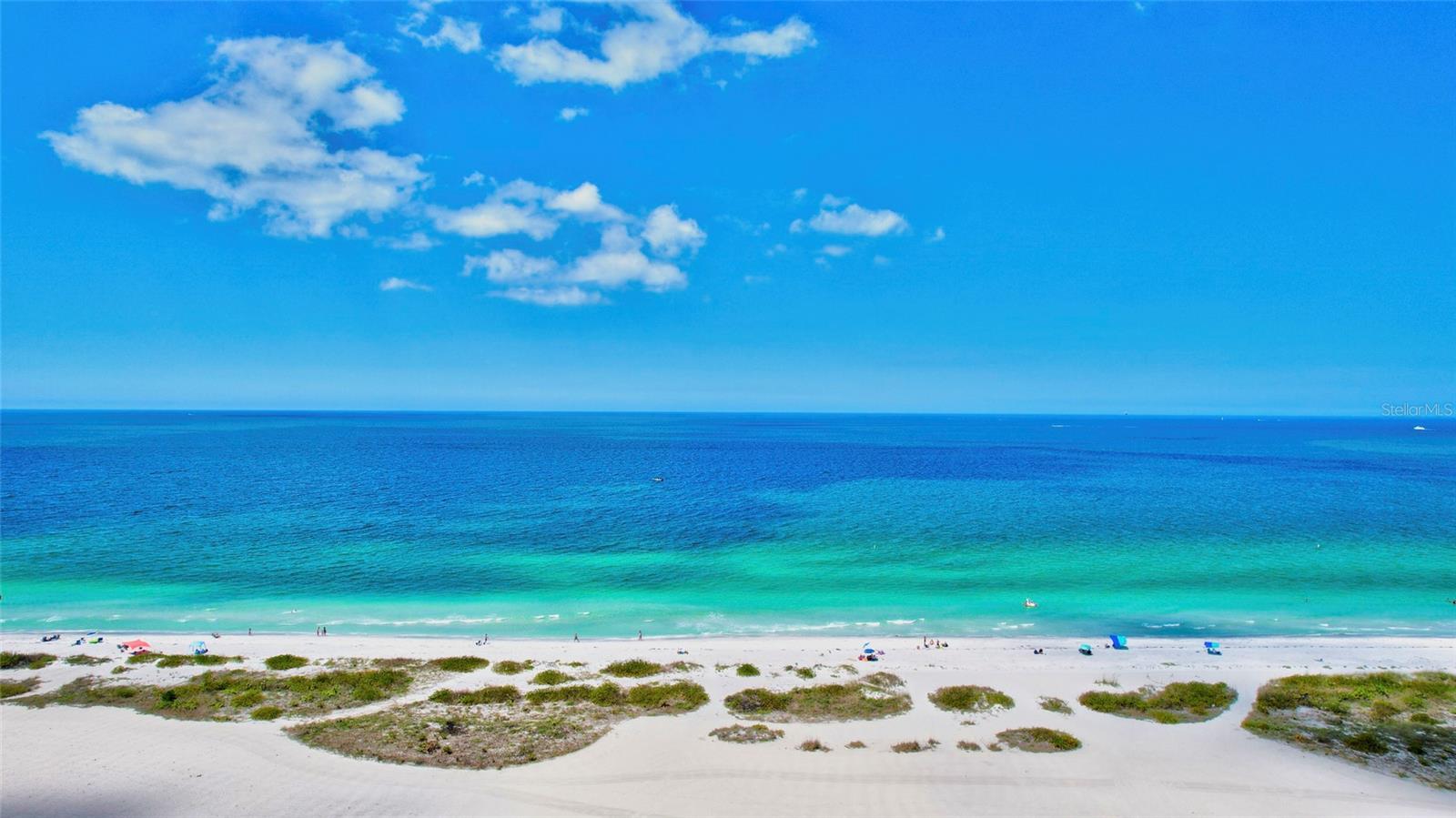 Image 4 of 35 For 1290 Gulf Boulevard 1604