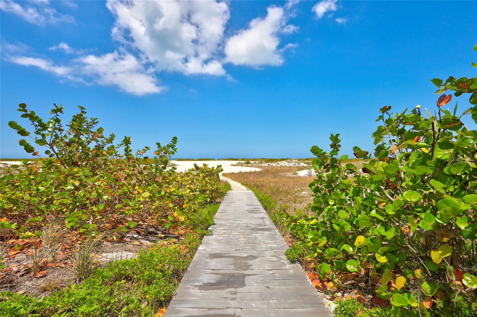 Image 8 of 35 For 1290 Gulf Boulevard 1604