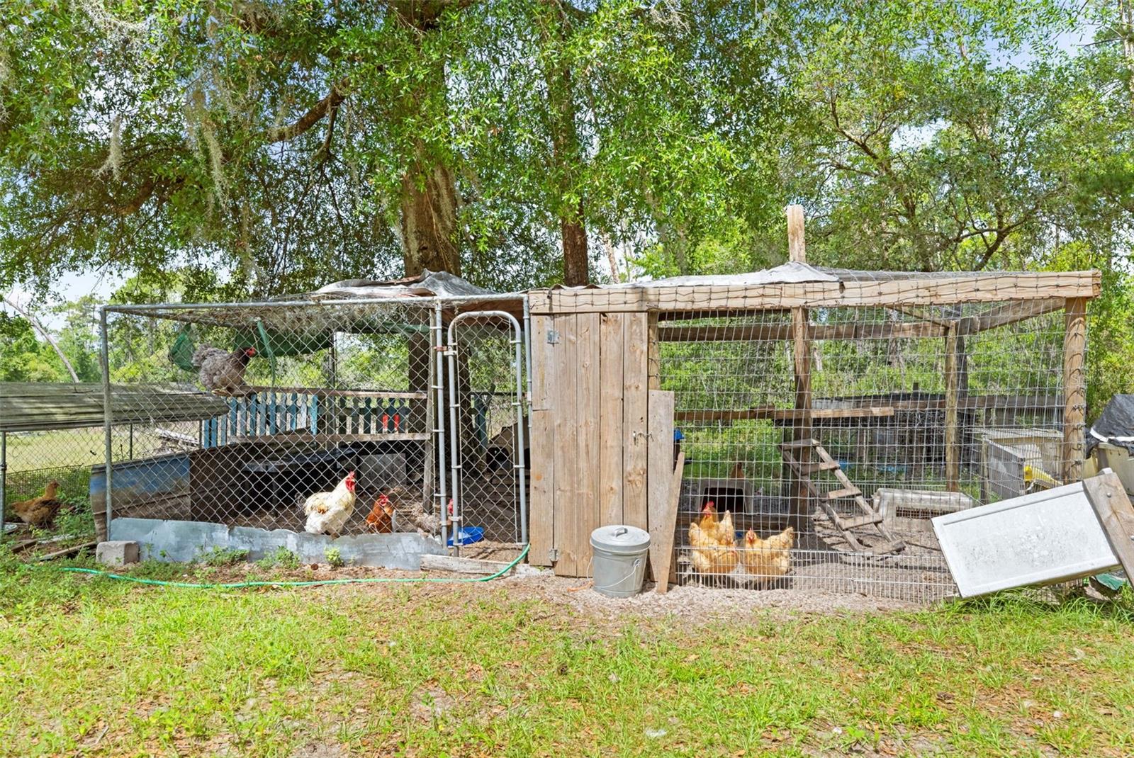 Image 16 of 22 For 4161 Burns Road