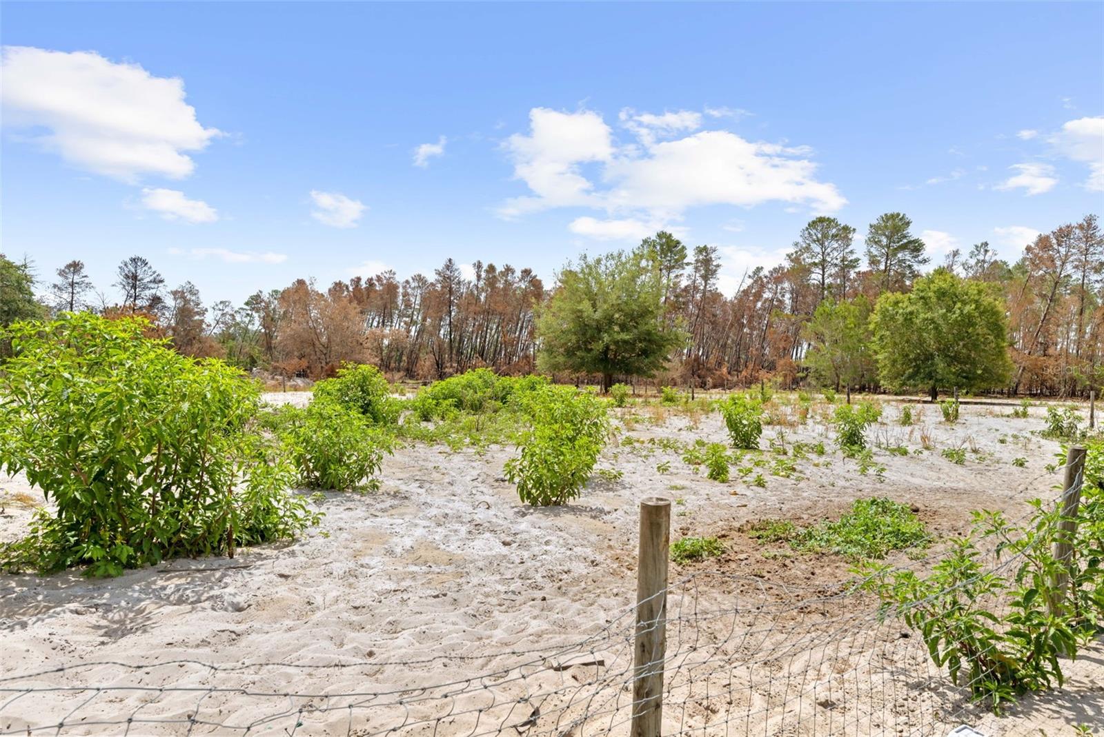 Image 18 of 22 For 4161 Burns Road