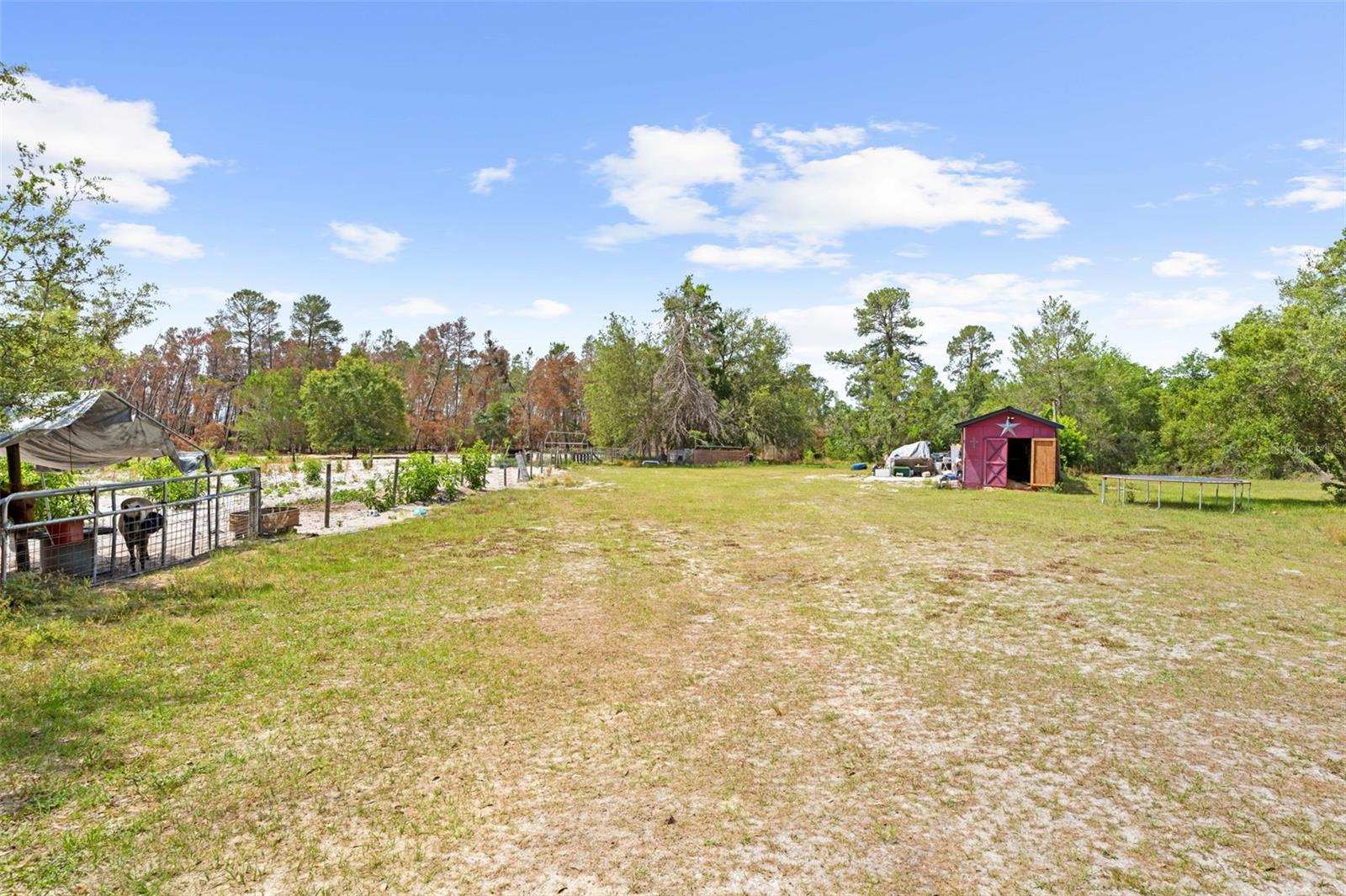 Image 6 of 22 For 4161 Burns Road