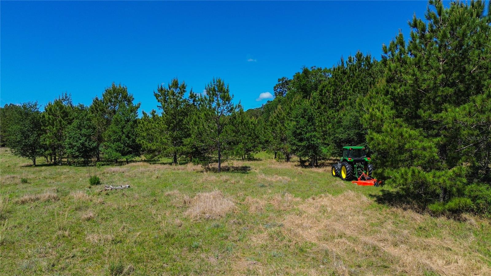 Image 3 of 14 For 6489 Quarterhorse Lane