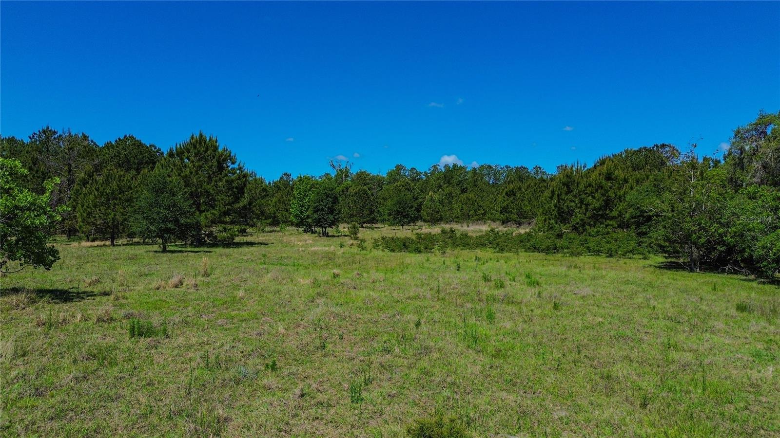 Image 5 of 14 For 6489 Quarterhorse Lane