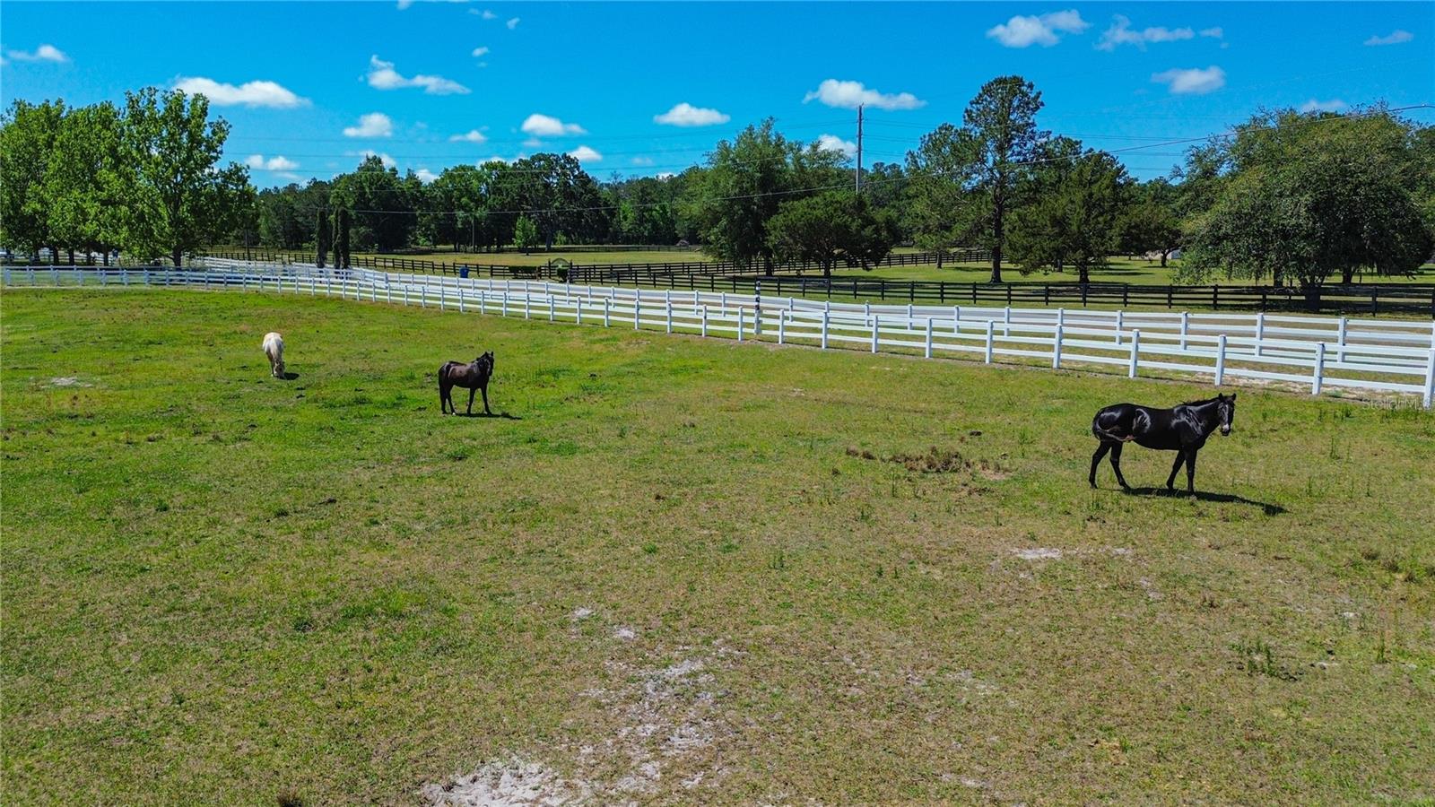 Image 6 of 14 For 6489 Quarterhorse Lane