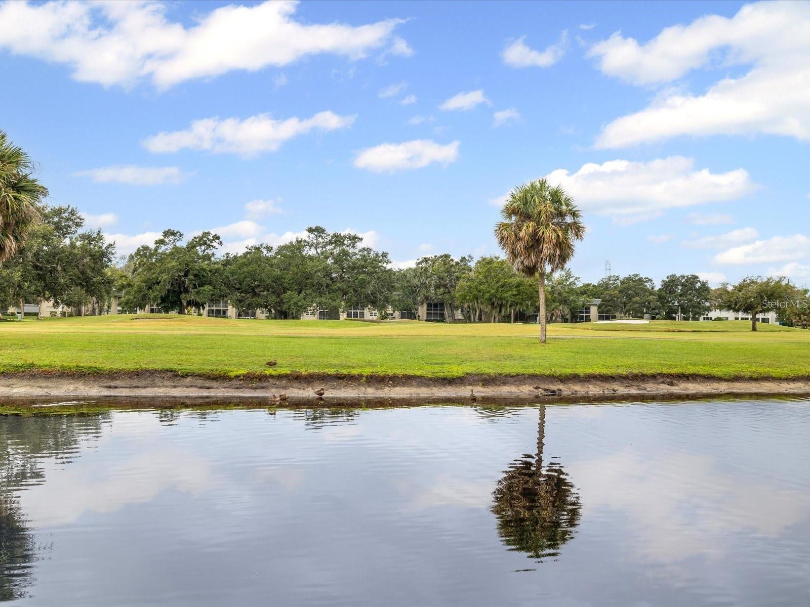 Image 5 of 7 For 225 Country Club Drive 1604