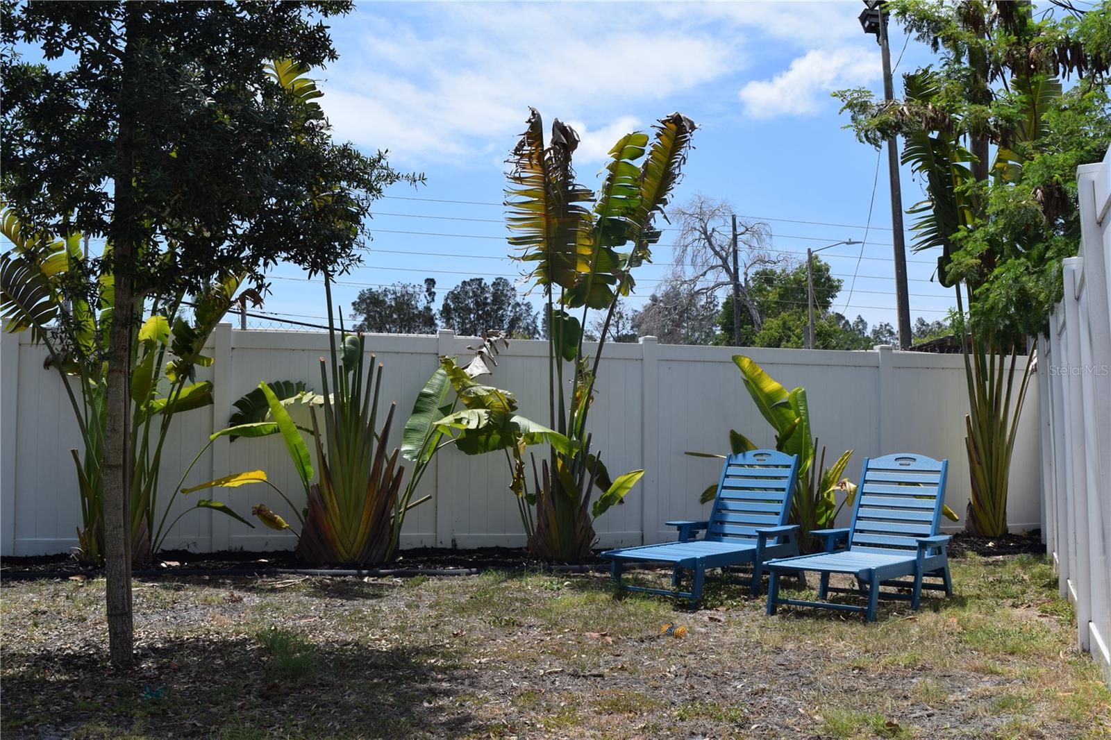 Image 14 of 17 For 6534 Wayne Street