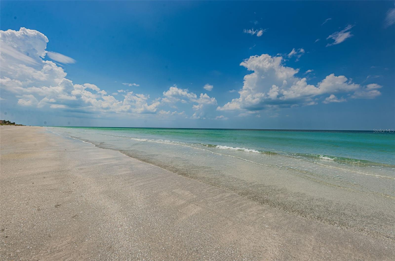 Image 58 of 81 For 1660 Gulf Boulevard 202