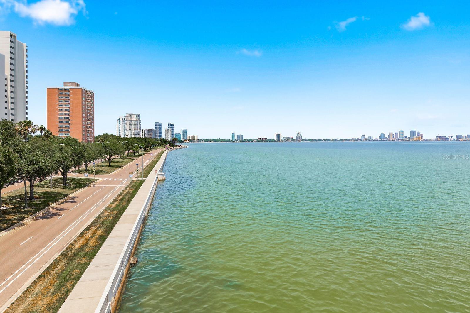 Image 36 of 42 For 4811 Bayshore Boulevard 303