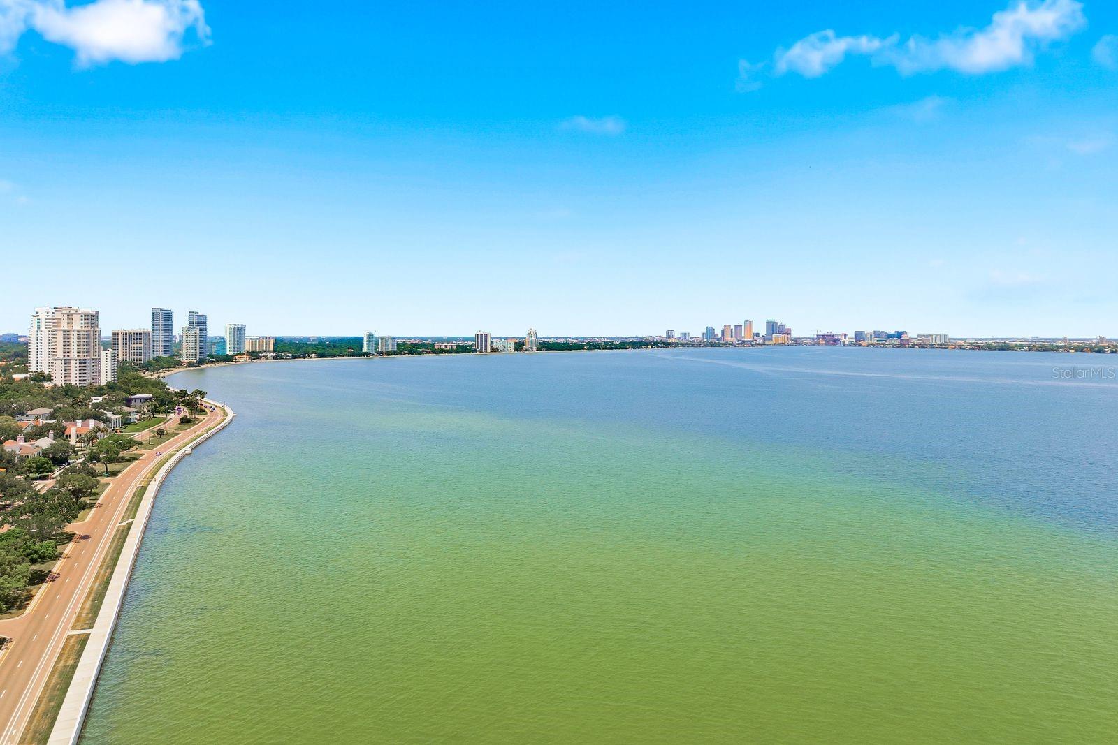 Image 37 of 42 For 4811 Bayshore Boulevard 303