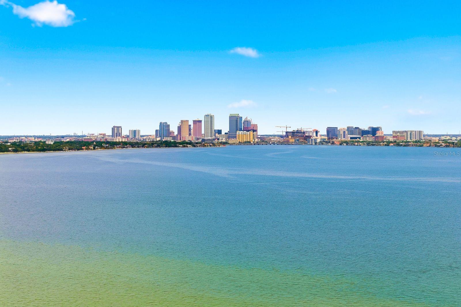 Image 38 of 42 For 4811 Bayshore Boulevard 303