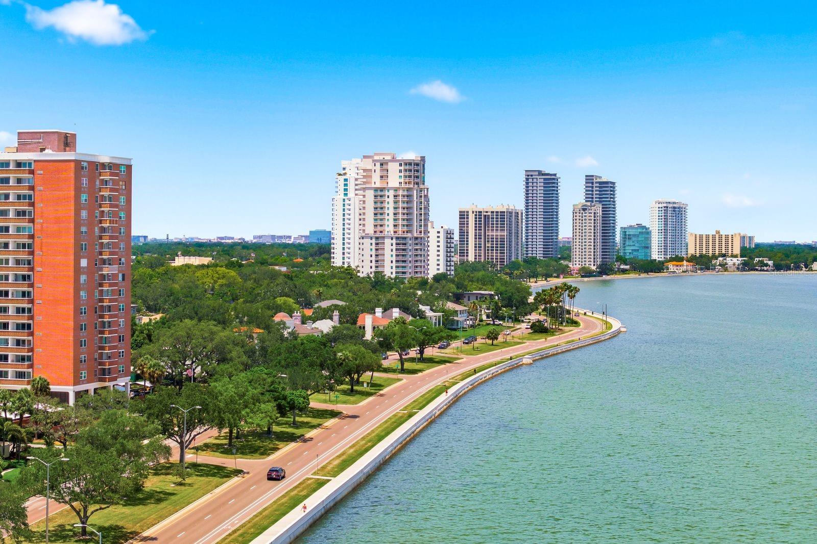 Image 39 of 42 For 4811 Bayshore Boulevard 303