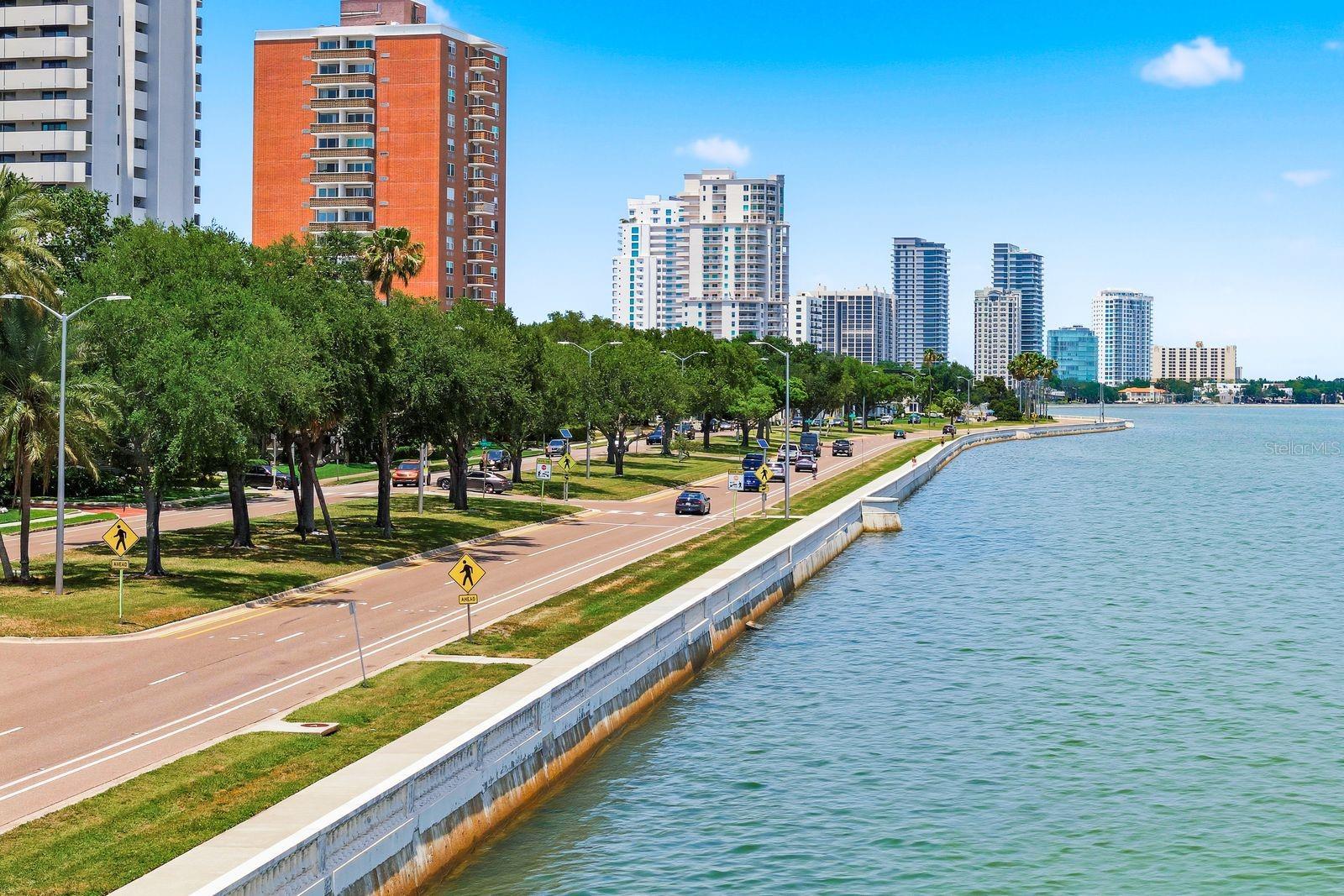 Image 40 of 42 For 4811 Bayshore Boulevard 303