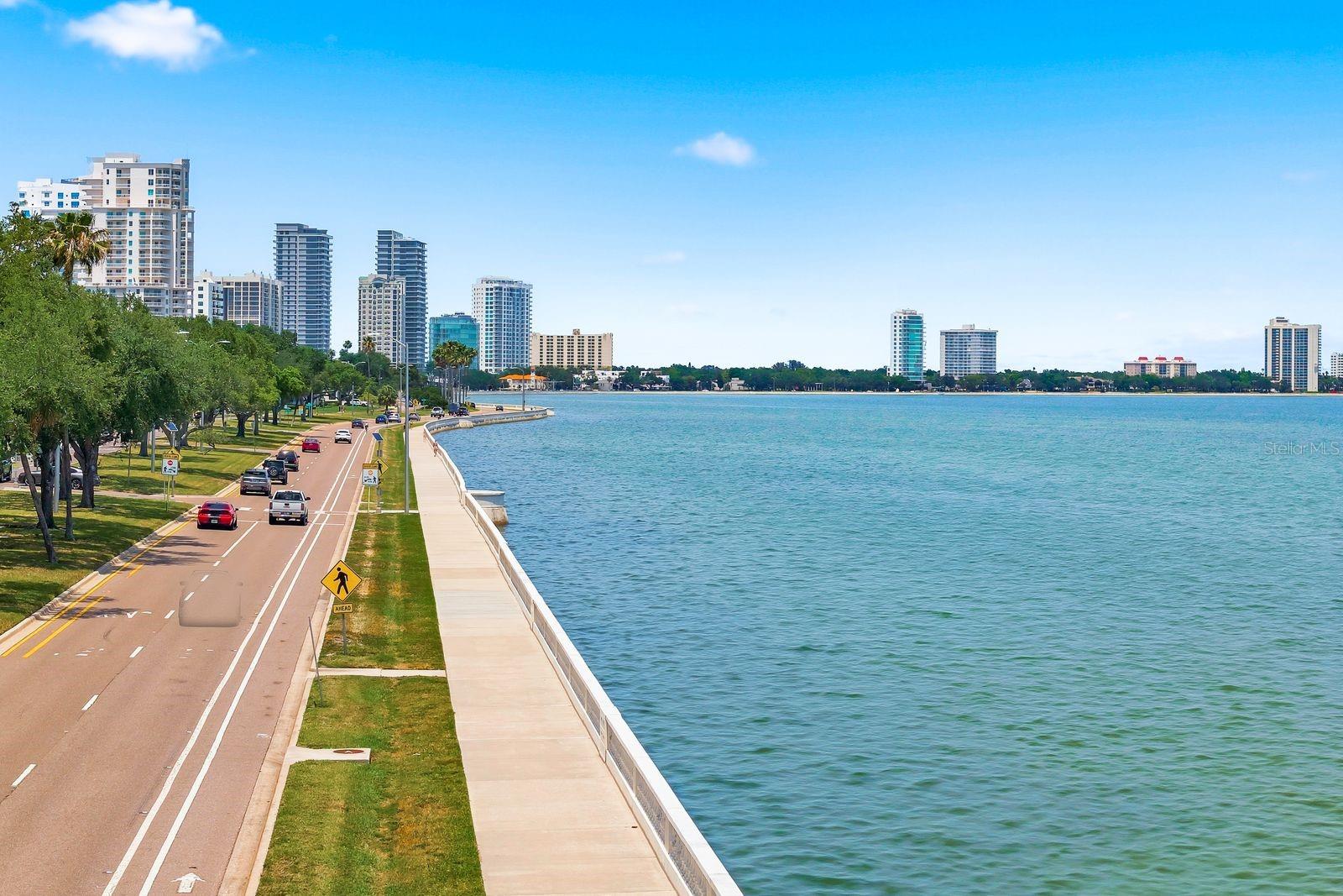 Image 41 of 42 For 4811 Bayshore Boulevard 303