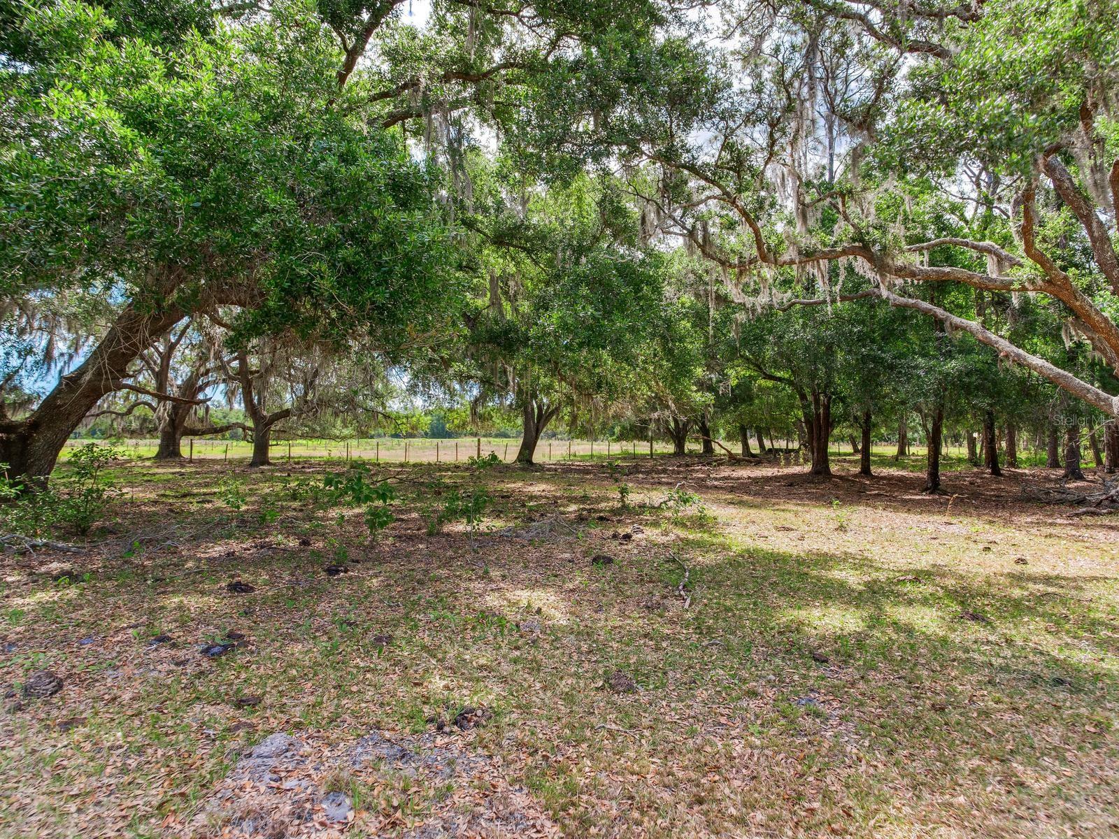 Image 13 of 21 For Address Not Provided