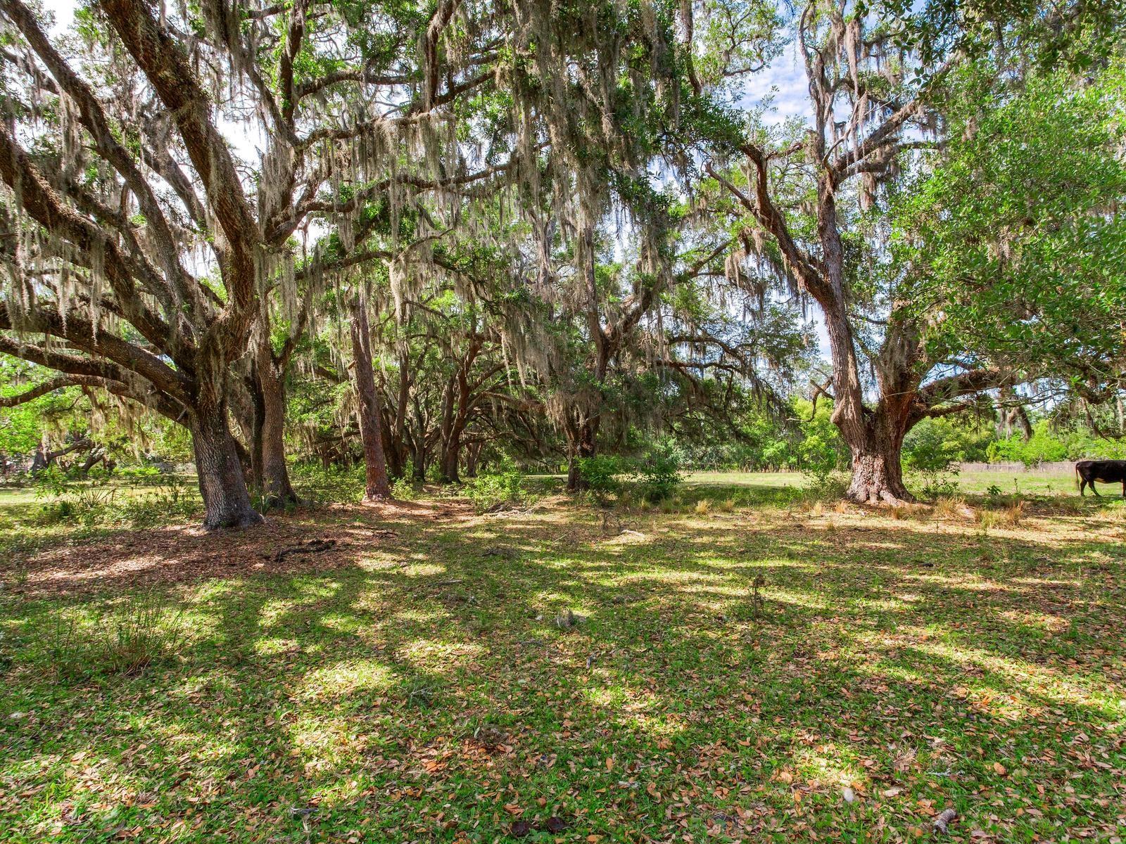 Image 6 of 21 For Address Not Provided