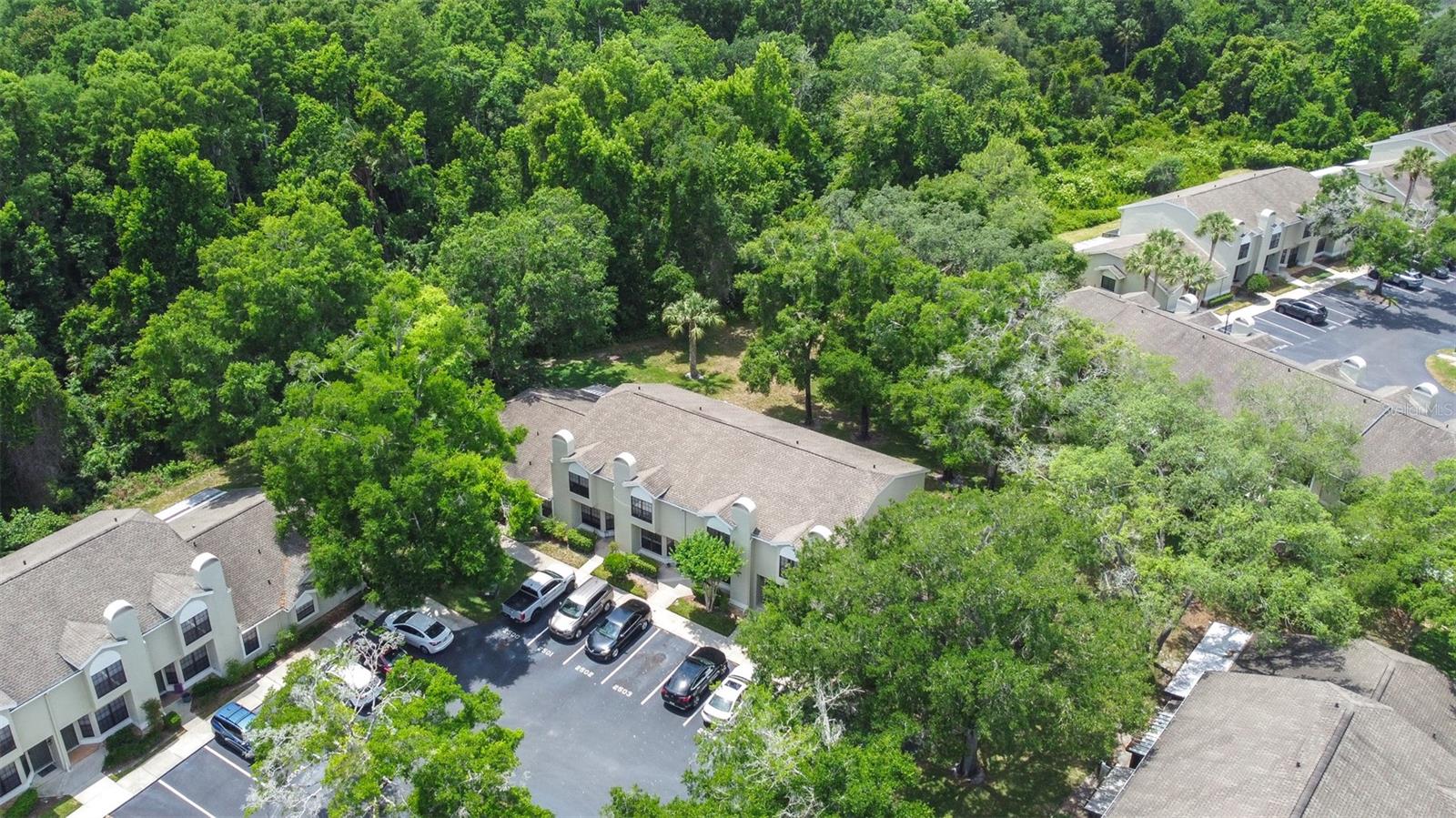 Image 4 of 47 For 5100 Burchette Road 2505