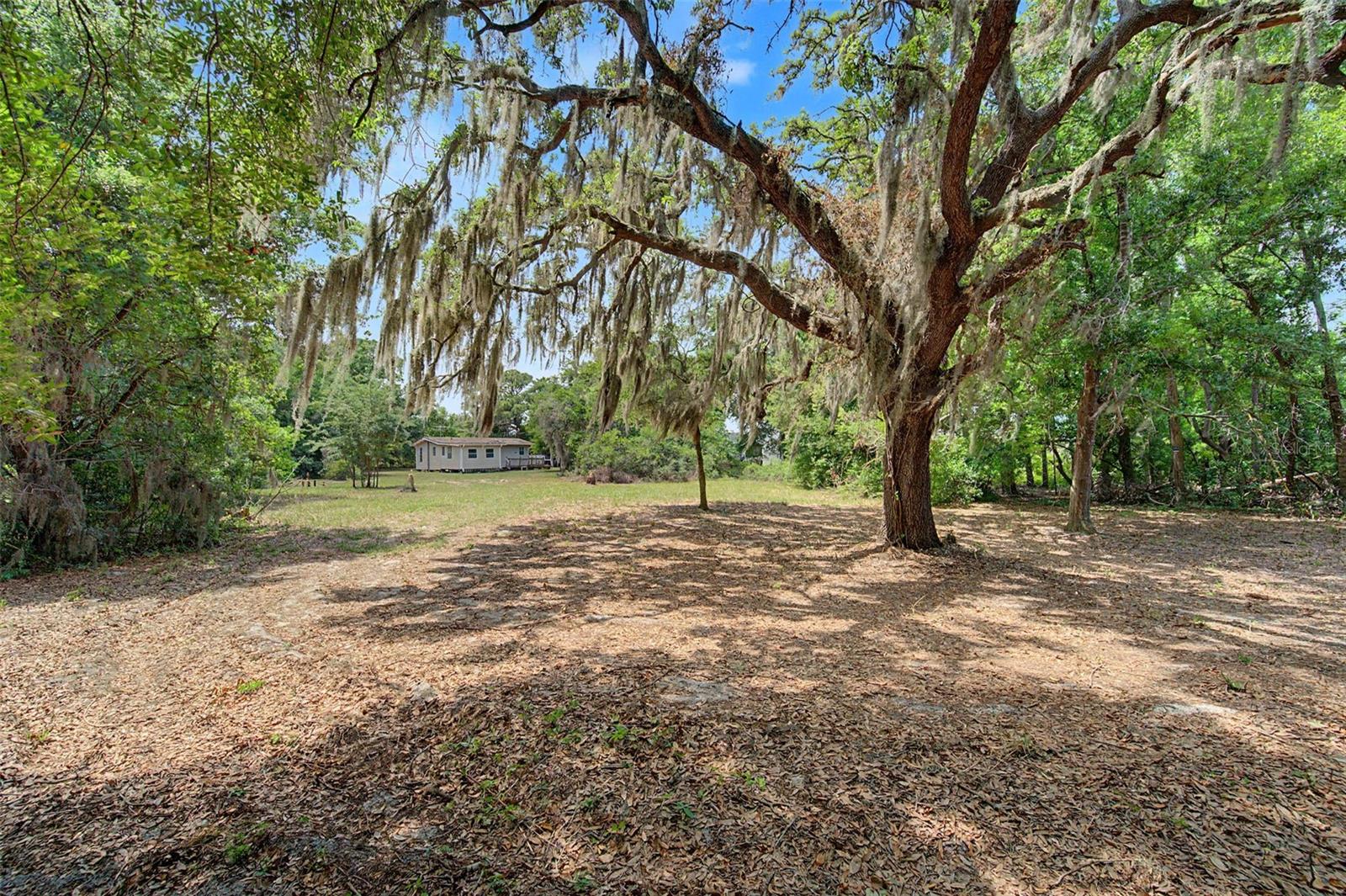 Image 41 of 49 For 232 Cutrone Road
