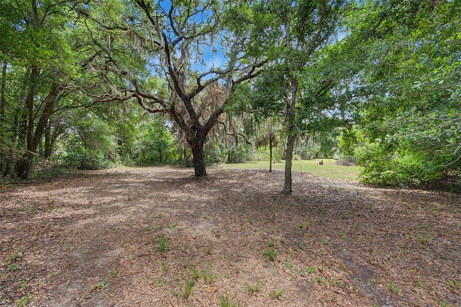 Image 42 of 49 For 232 Cutrone Road
