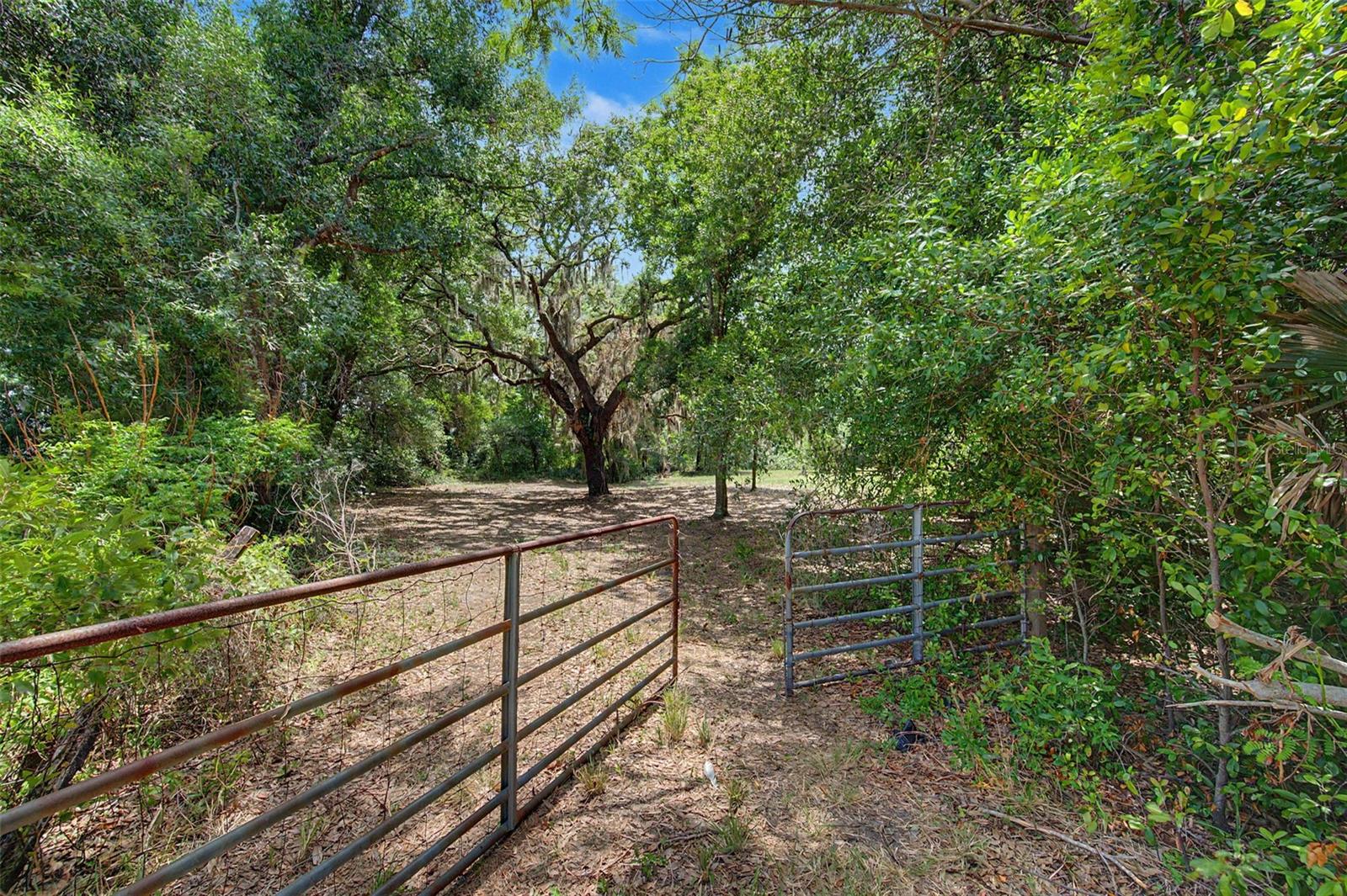 Image 44 of 49 For 232 Cutrone Road