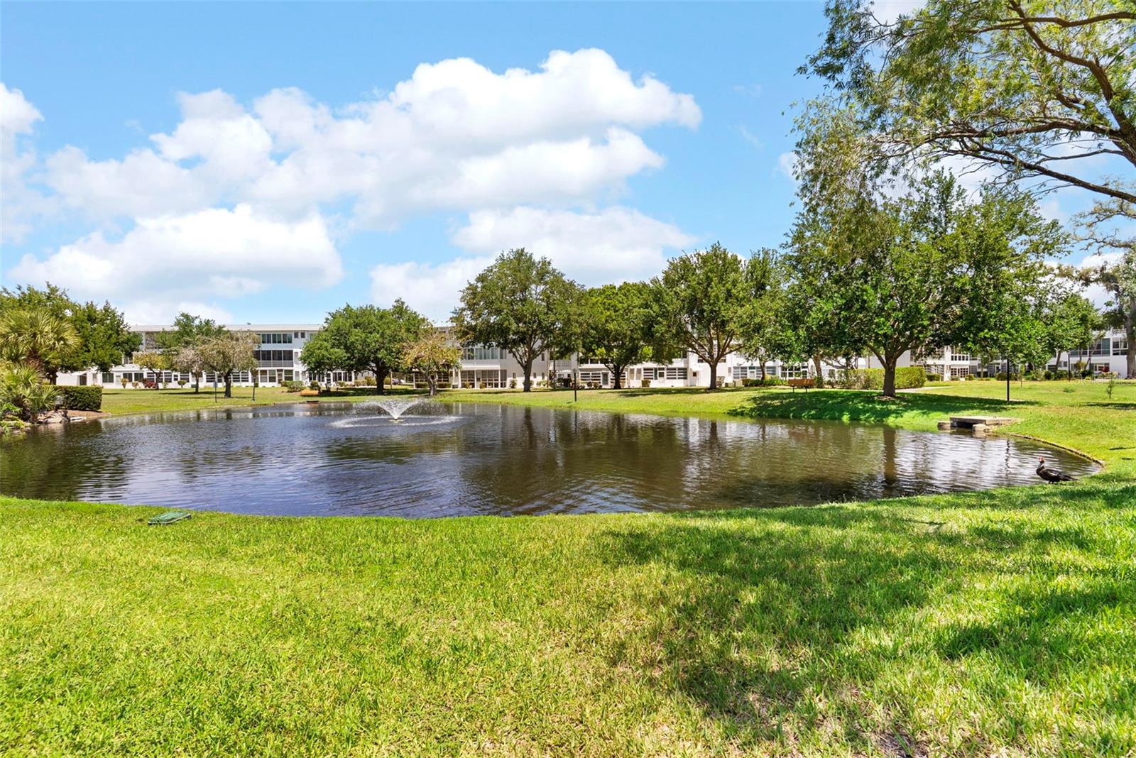 Image 18 of 22 For 11201 80th Avenue 305