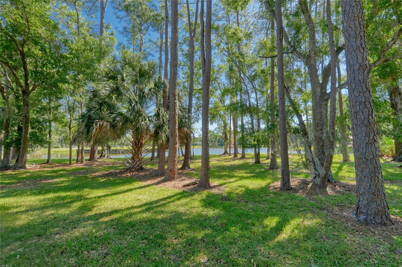Image 6 of 54 For 15501 Kingsmill Place