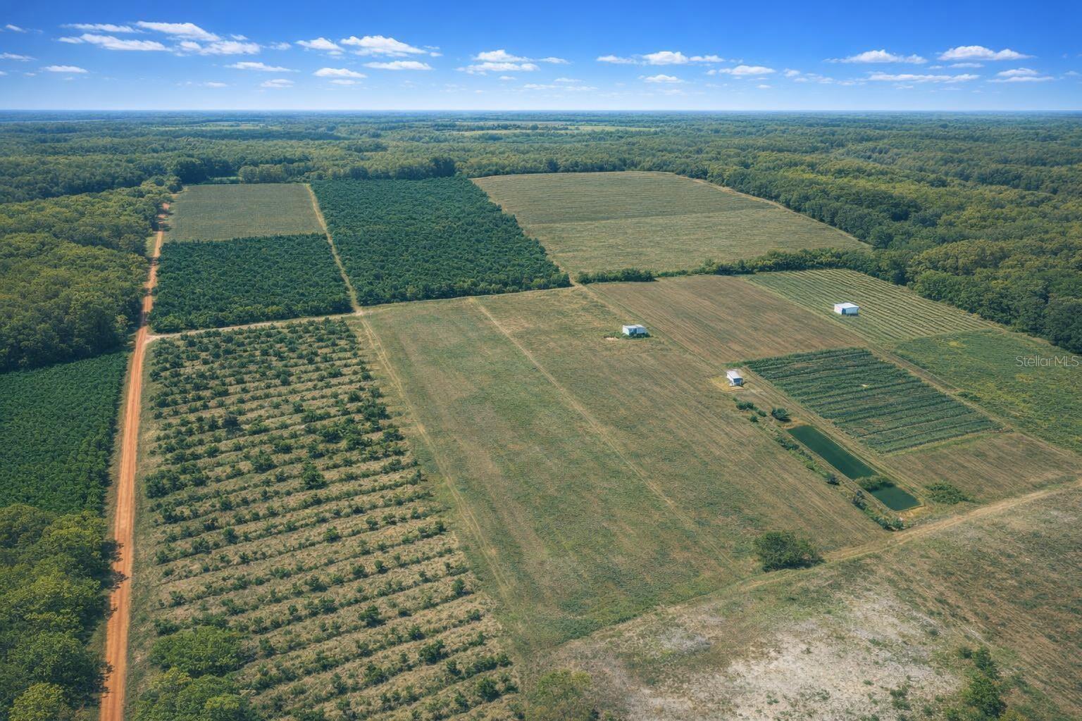 Image 9 of 19 For 900 Buffum Church Road