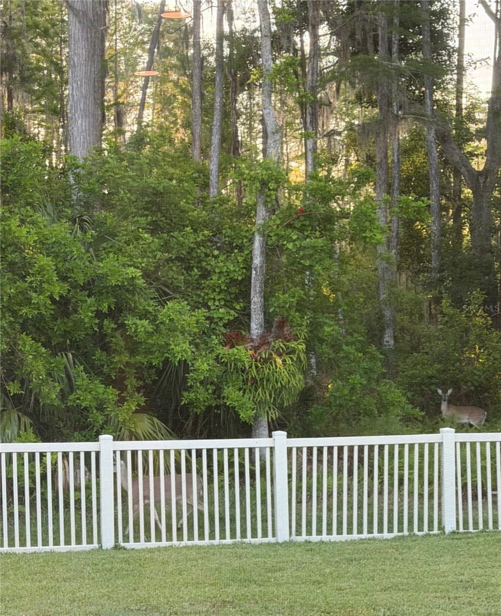 Image 45 of 51 For 7544 Whispering Wind Drive