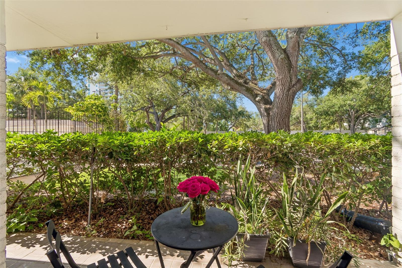 Image 17 of 33 For 3325 Bayshore Boulevard #d14