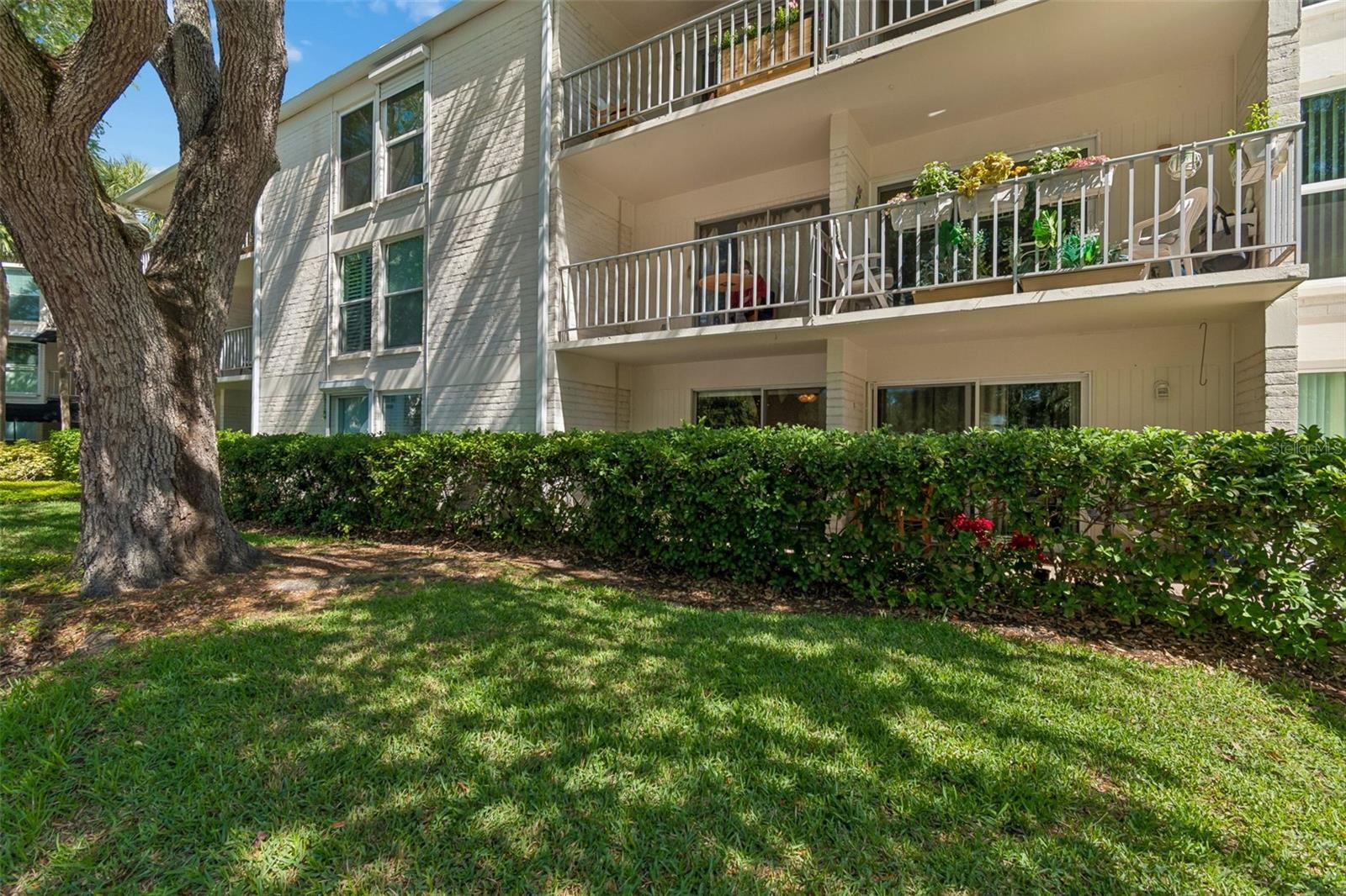 Image 19 of 33 For 3325 Bayshore Boulevard #d14
