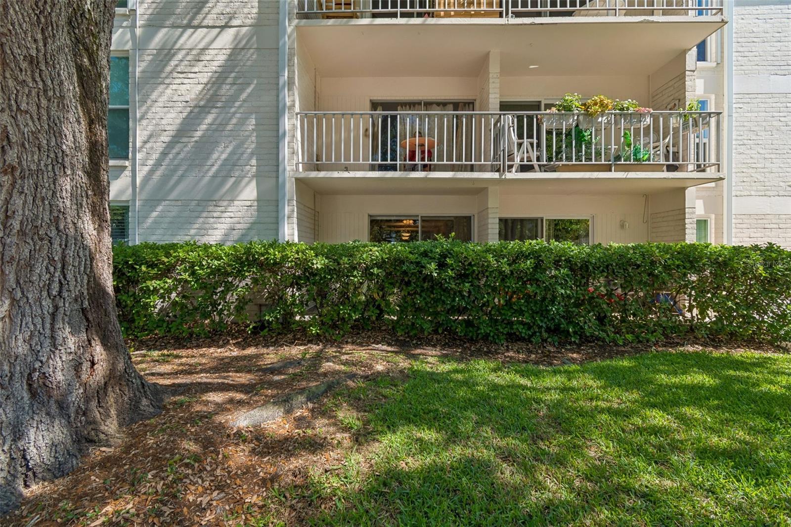 Image 20 of 33 For 3325 Bayshore Boulevard #d14