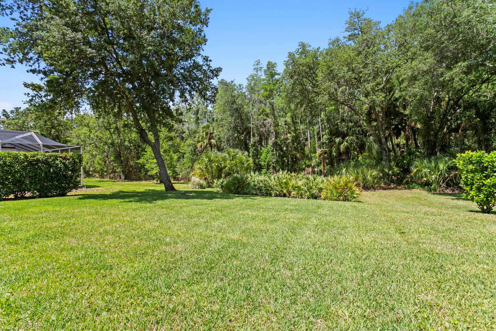 Image 44 of 75 For 10235 Estuary Drive
