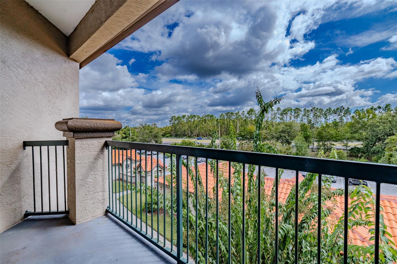 Image 4 of 27 For 4201 Woodstorks Walk Way  3302