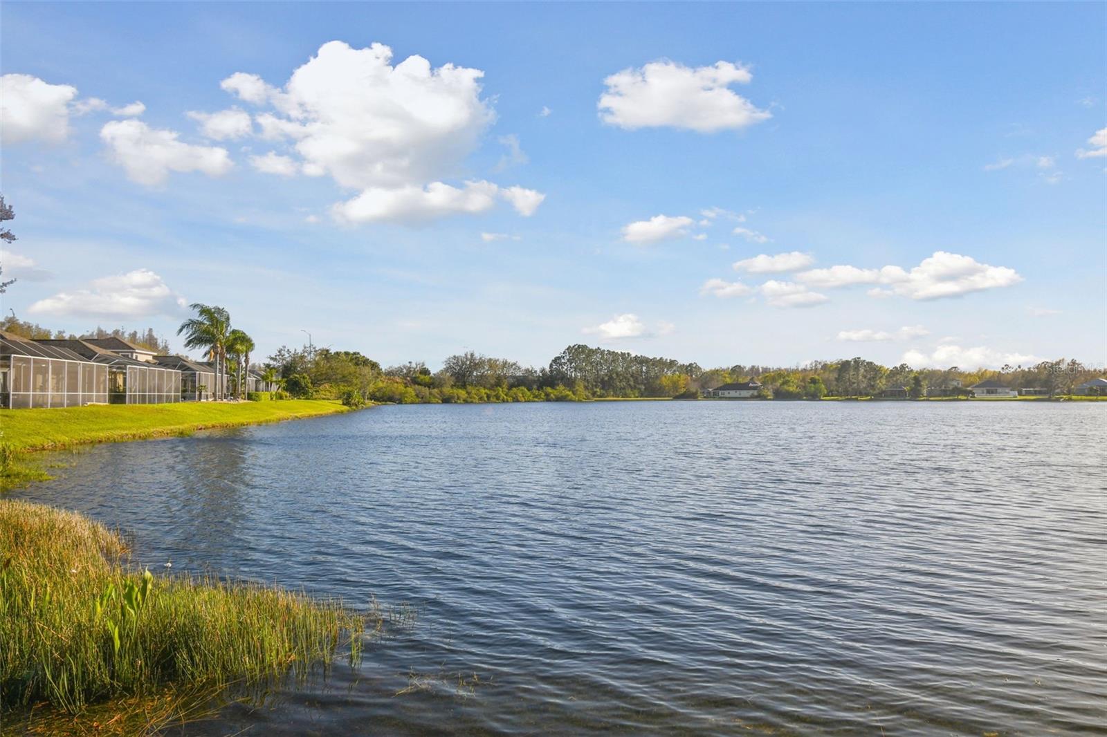 Listing photo id 30 for 18034 Lake Reflections Boulevard