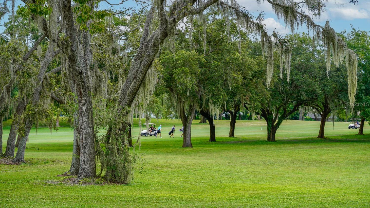 Image 75 of 83 For 8141 Golf Club Court