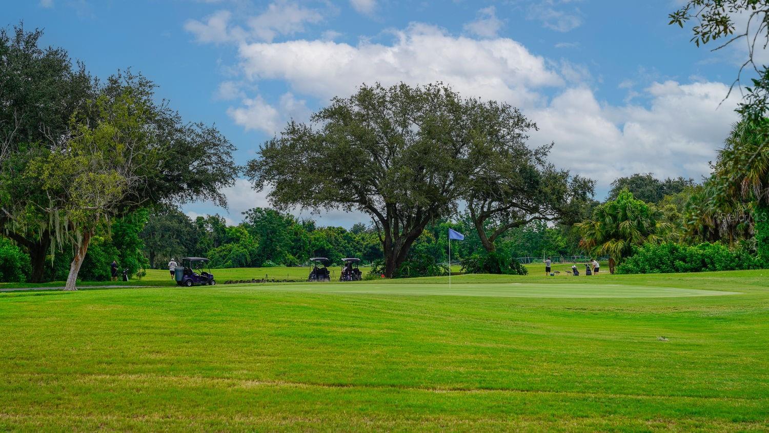 Image 77 of 83 For 8141 Golf Club Court