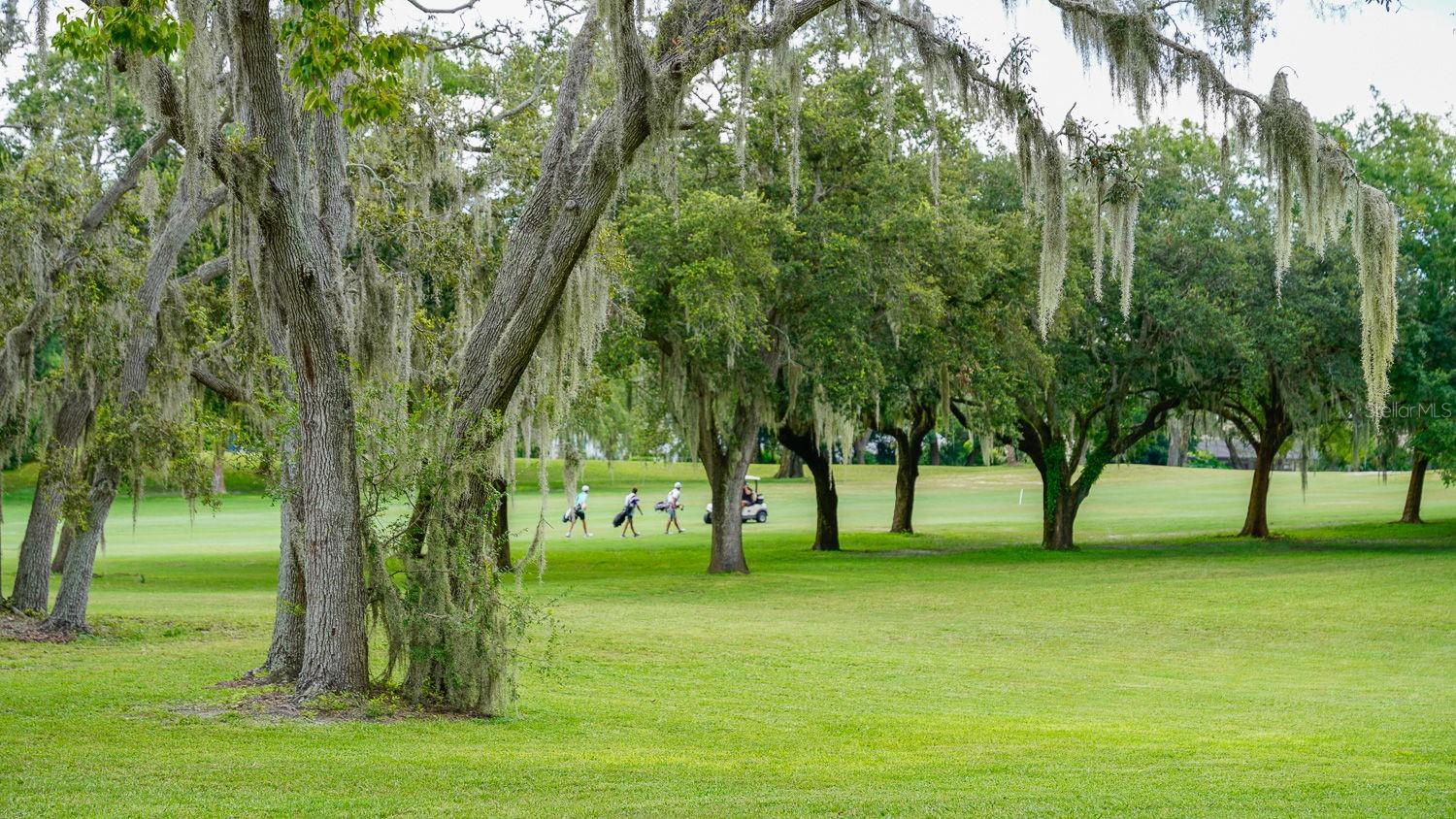 Image 78 of 83 For 8141 Golf Club Court