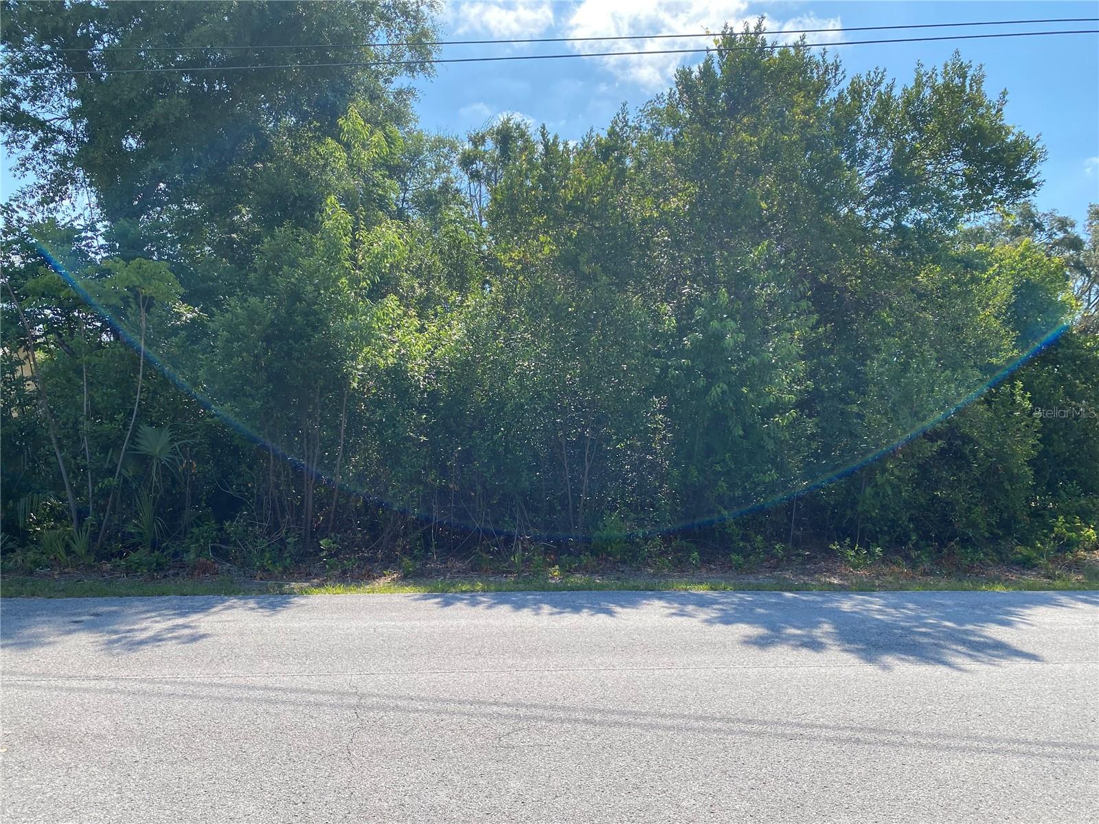 Details for Gatewood Avenue, SPRING HILL, FL 34608