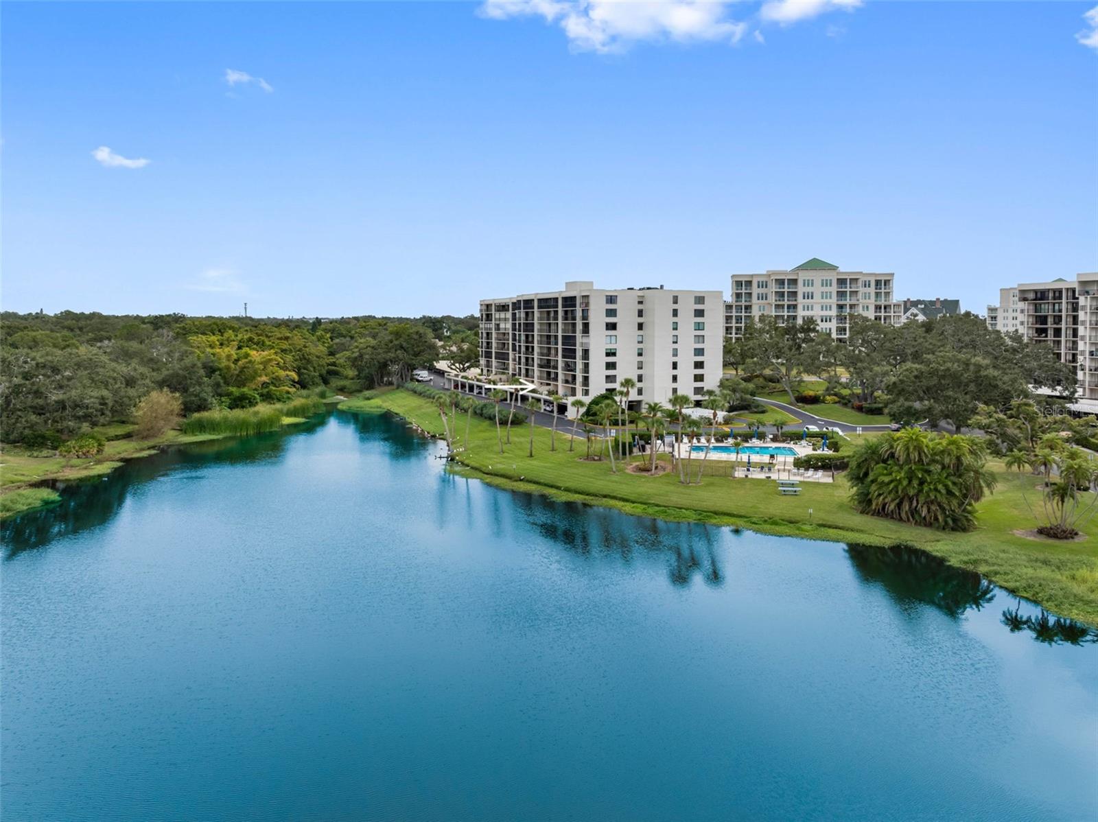 Image 30 of 38 For 220 Belleview Boulevard 108