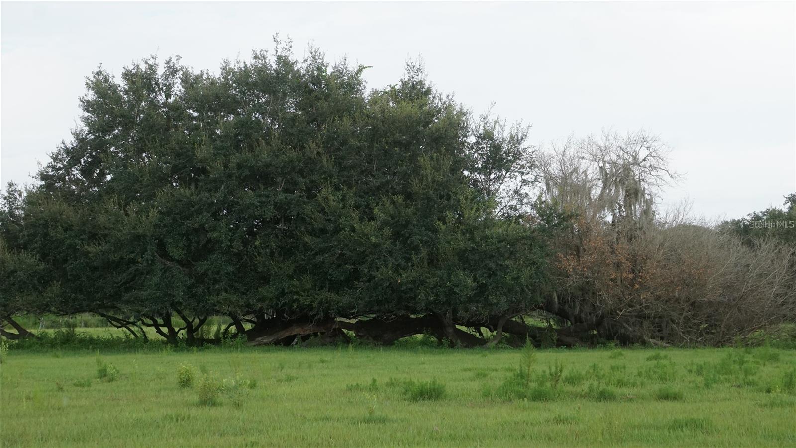 Image 5 of 9 For  Durant Rd  