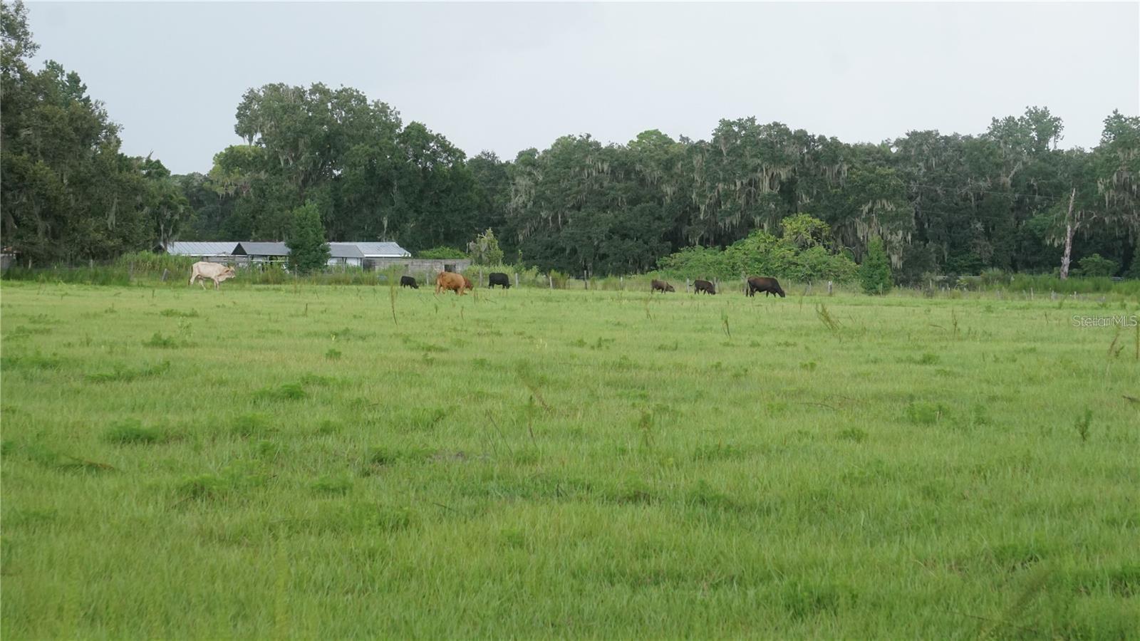 Image 7 of 9 For  Durant Rd  