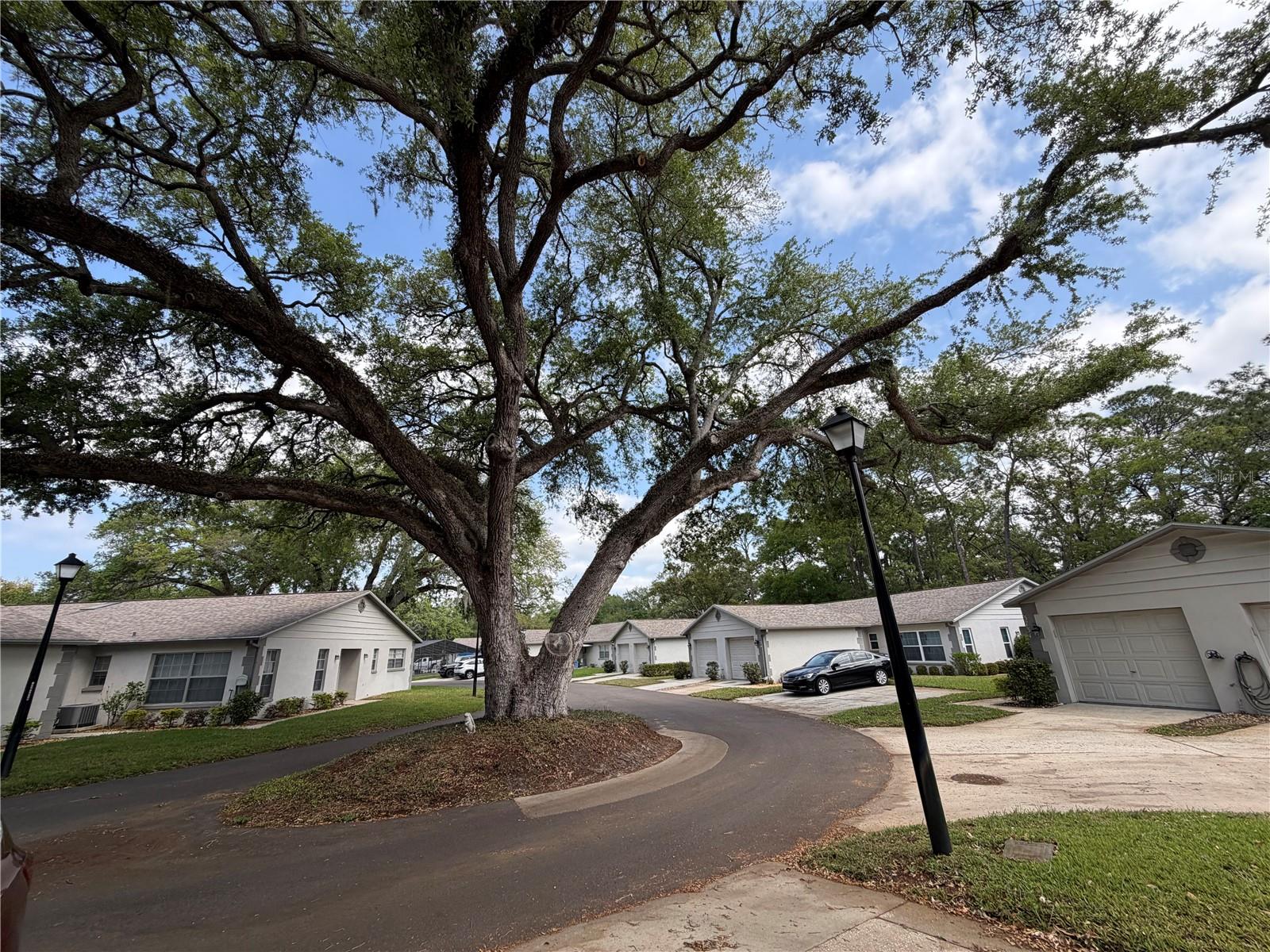 Image 11 of 16 For 3724 River Oaks Ct