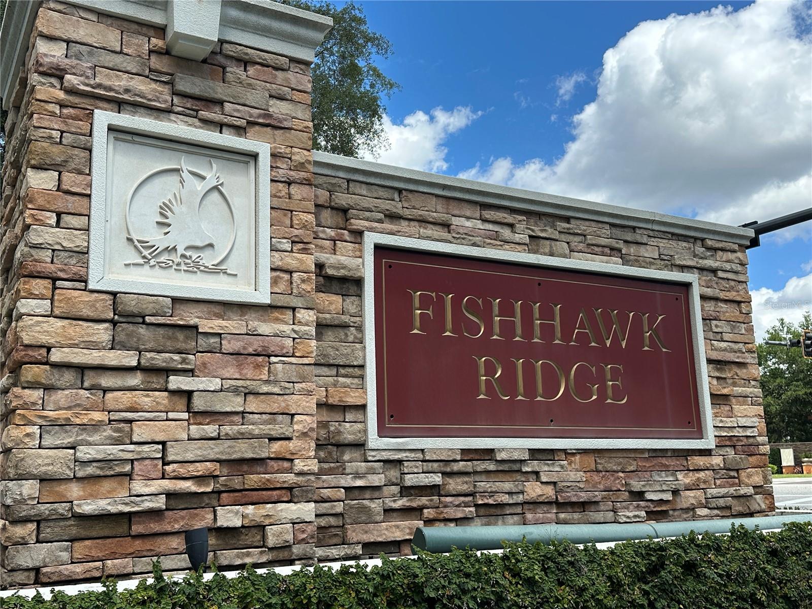 Image 29 of 30 For 15816 Fishhawk View Drive