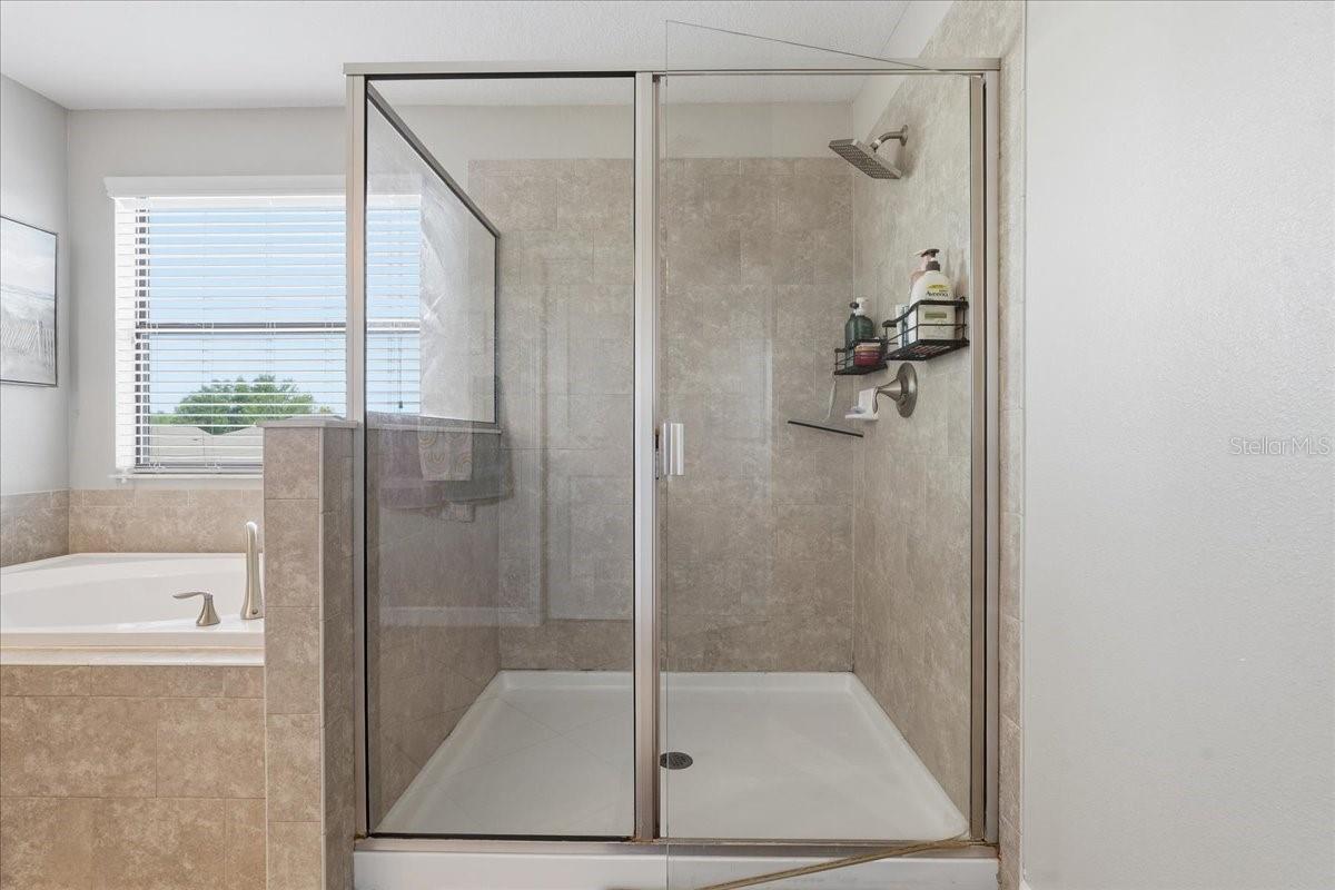 Image 24 of 62 For 1020 Oliveto Verdi Court