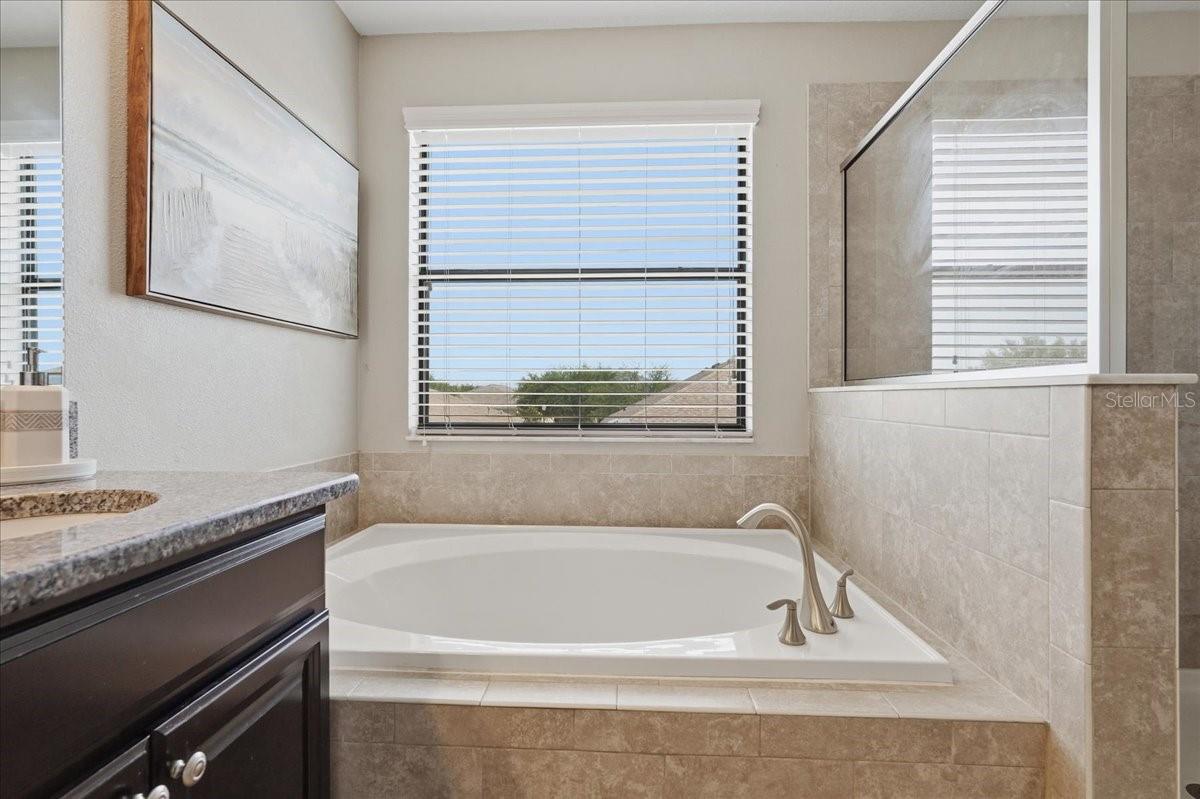 Image 25 of 62 For 1020 Oliveto Verdi Court
